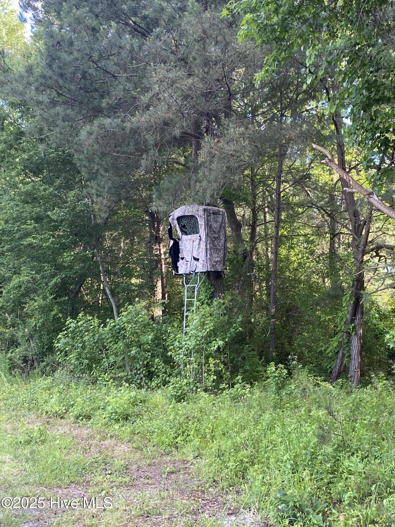 Near 2151 Dolph Lewis Road Property Photo 31