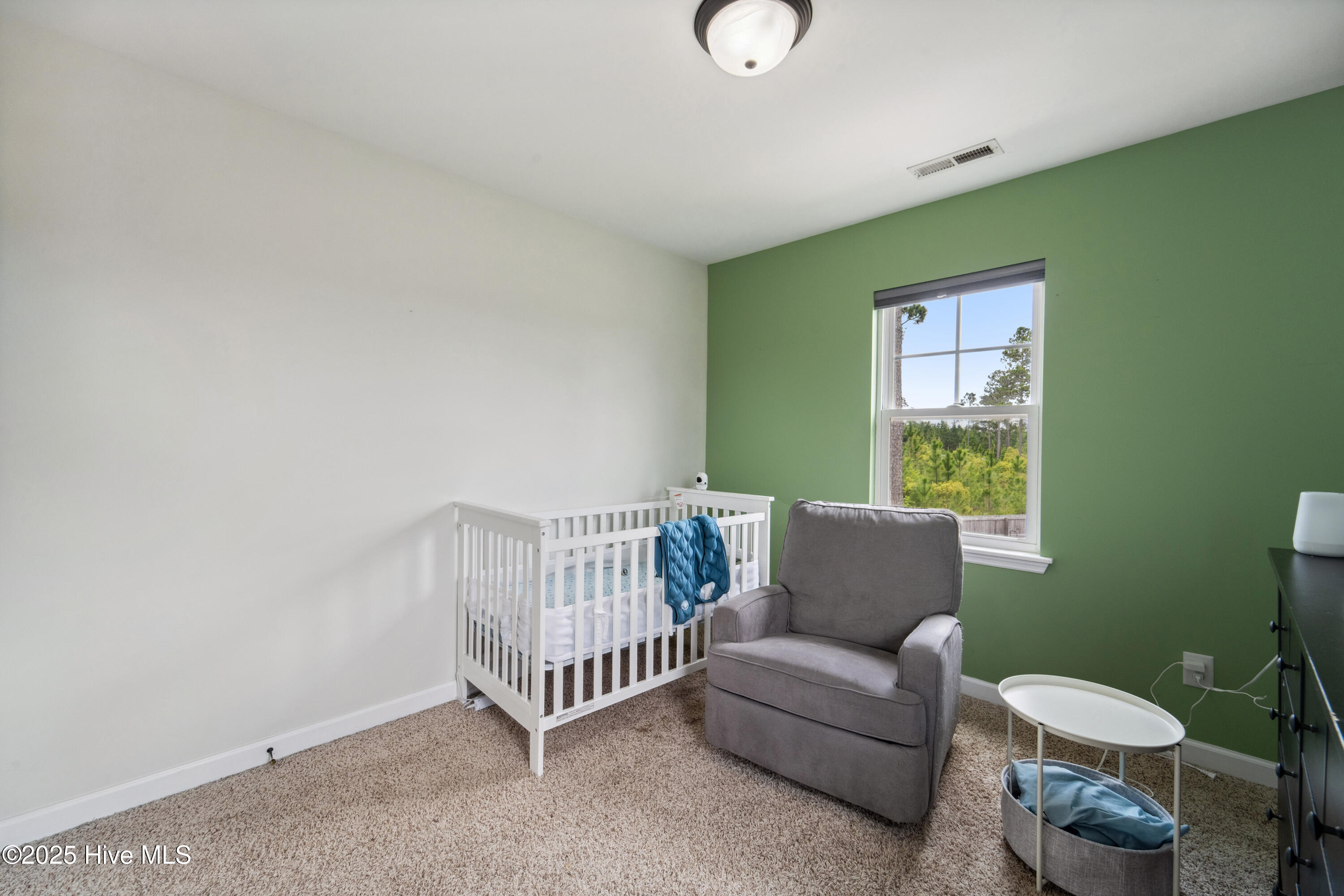 116 Prospect Drive Property Photo 42