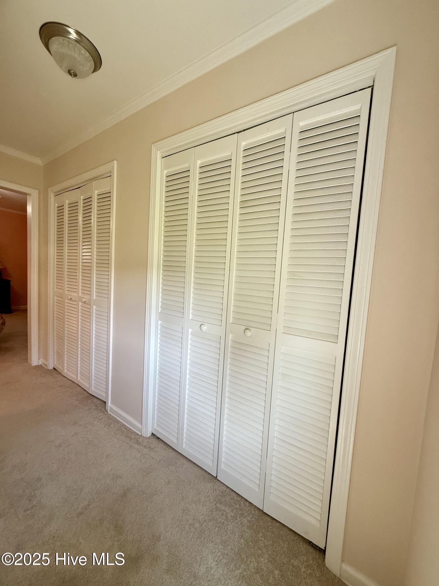 3773 Bear Grass Road Property Photo 37