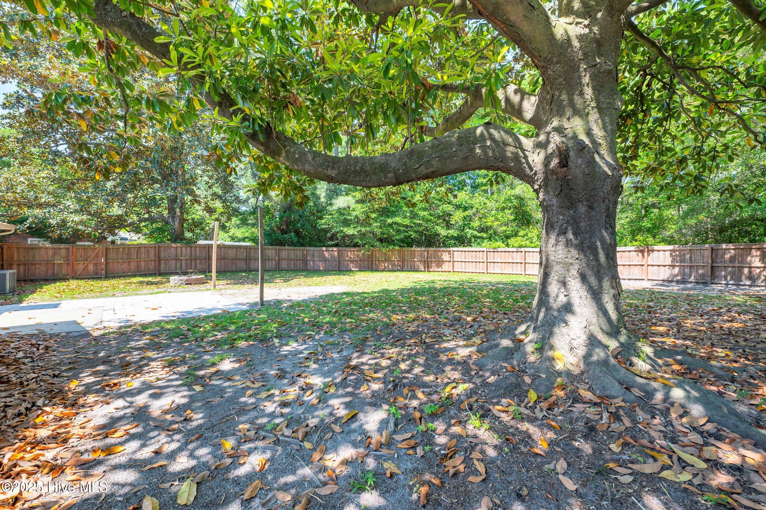 124 Kelly Road Property Photo 32