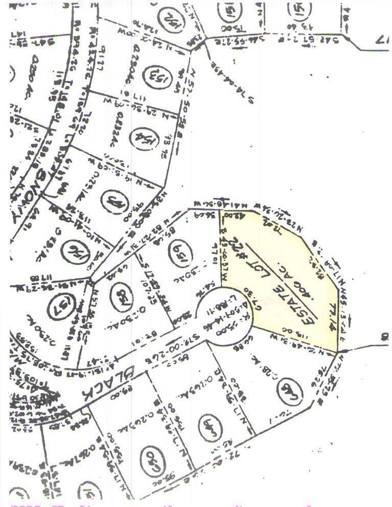 26 Black Skimmer Trail Property Photo 4