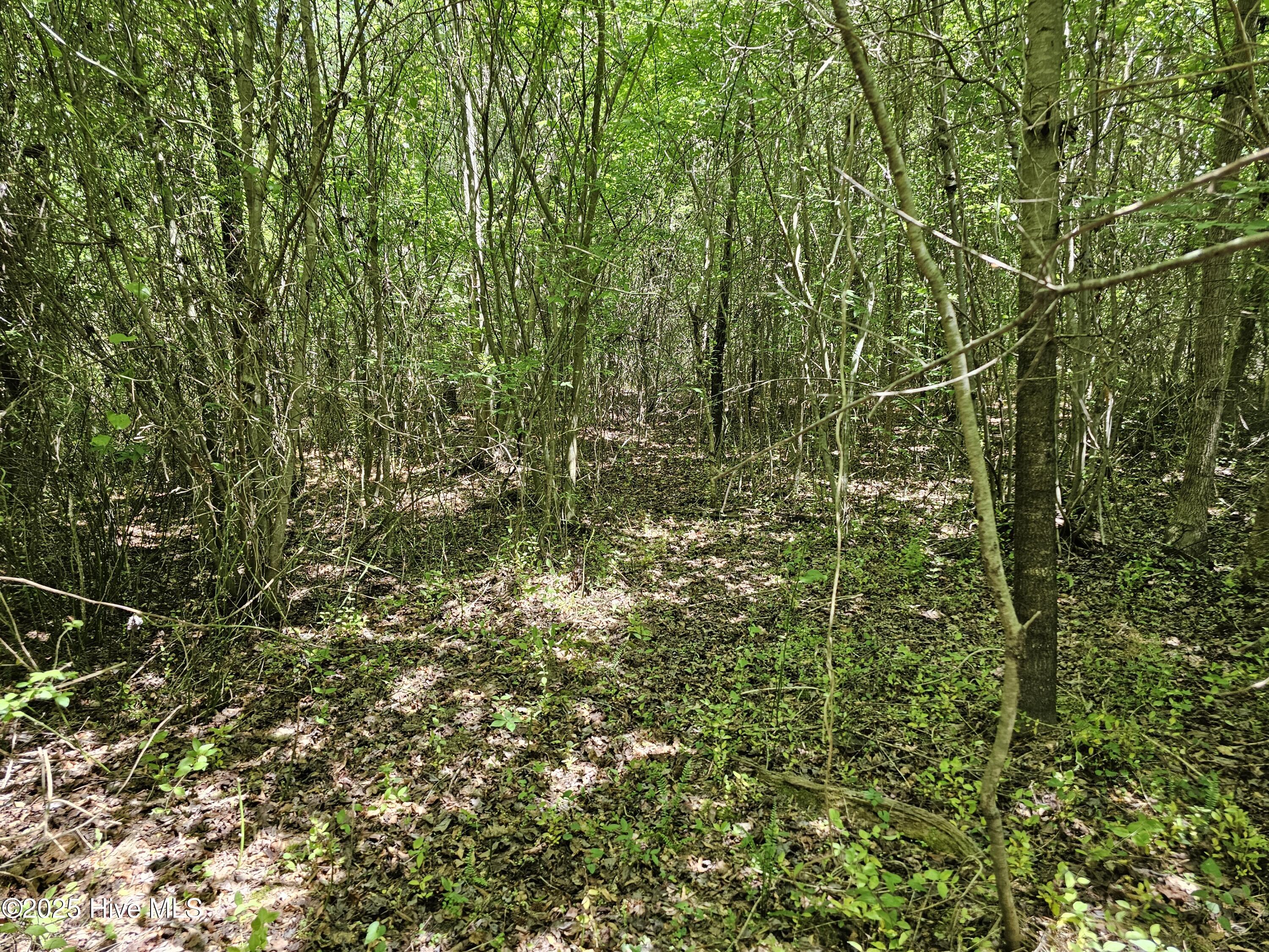 00 Alert Road Property Photo 2