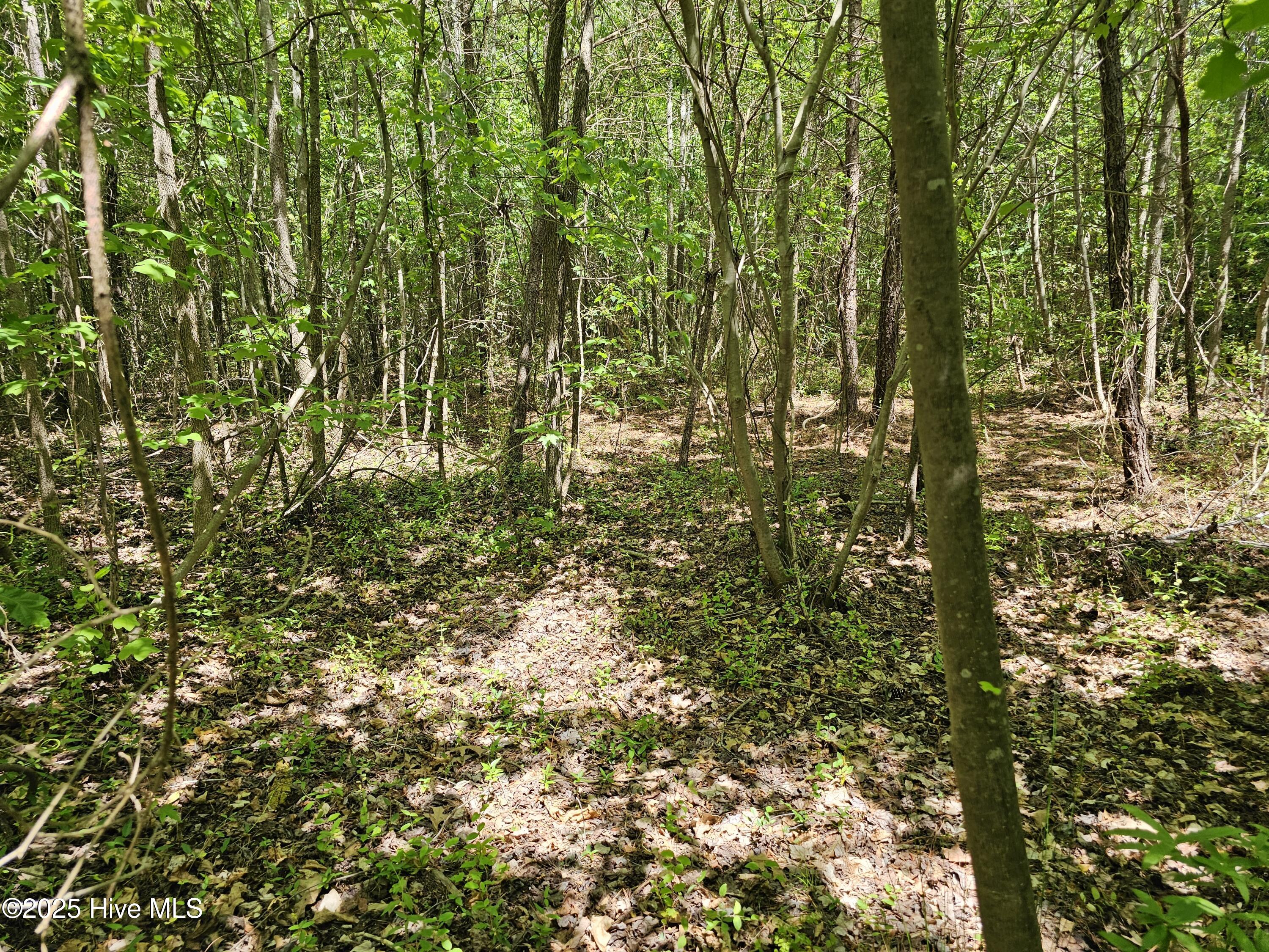 00 Alert Road Property Photo 3