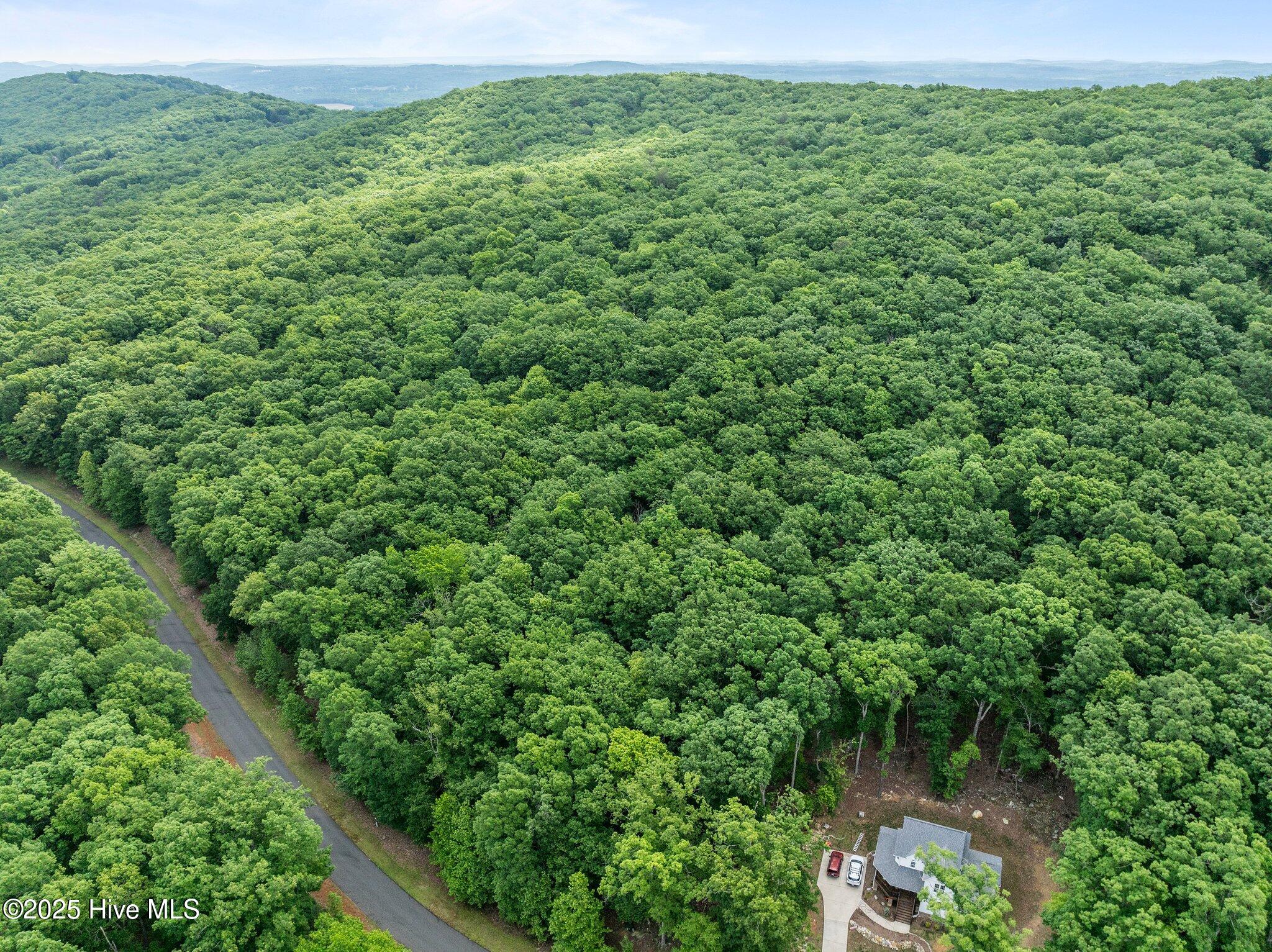 445 Palisade Trail Property Photo 9