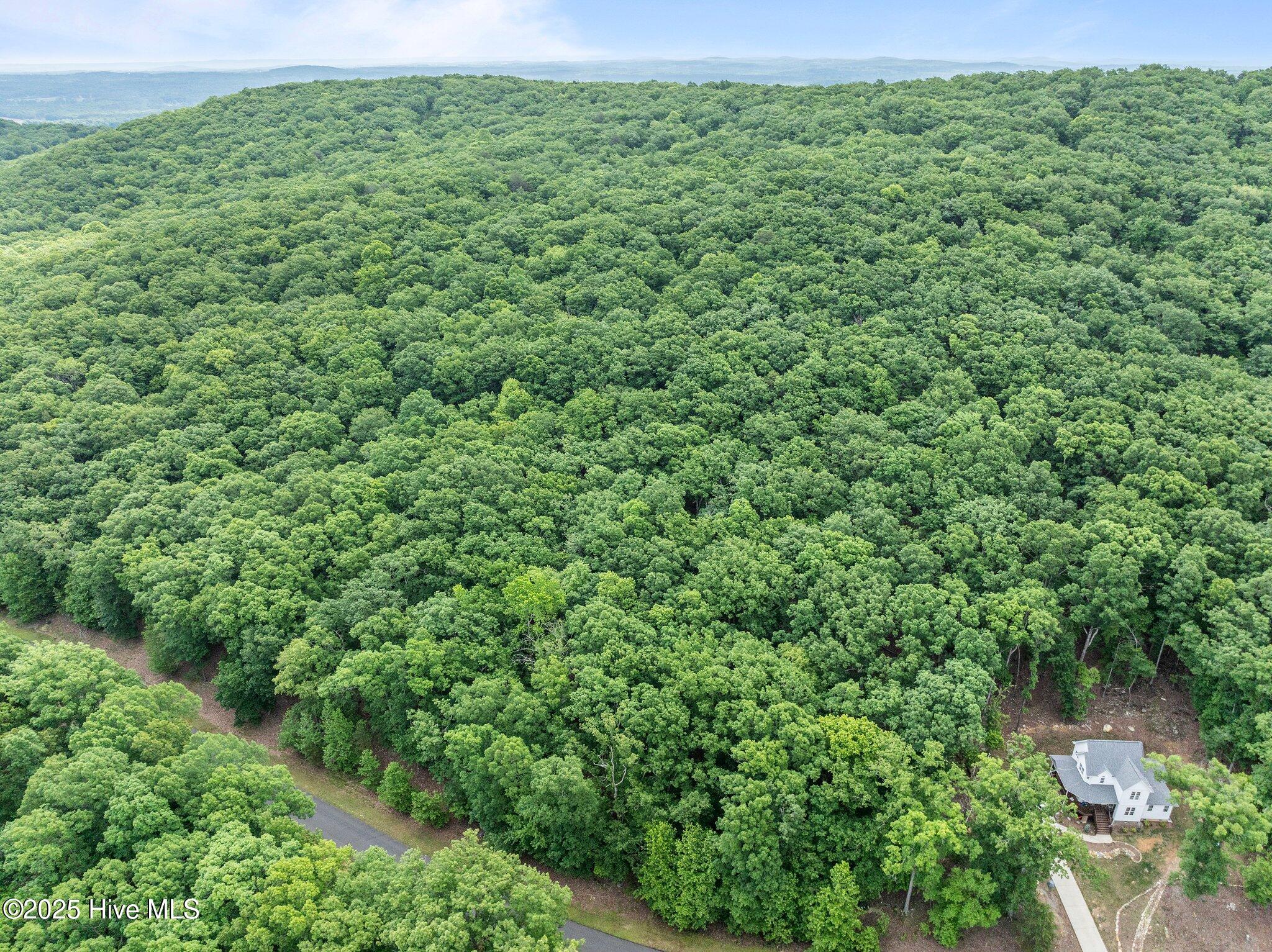 445 Palisade Trail Property Photo 10