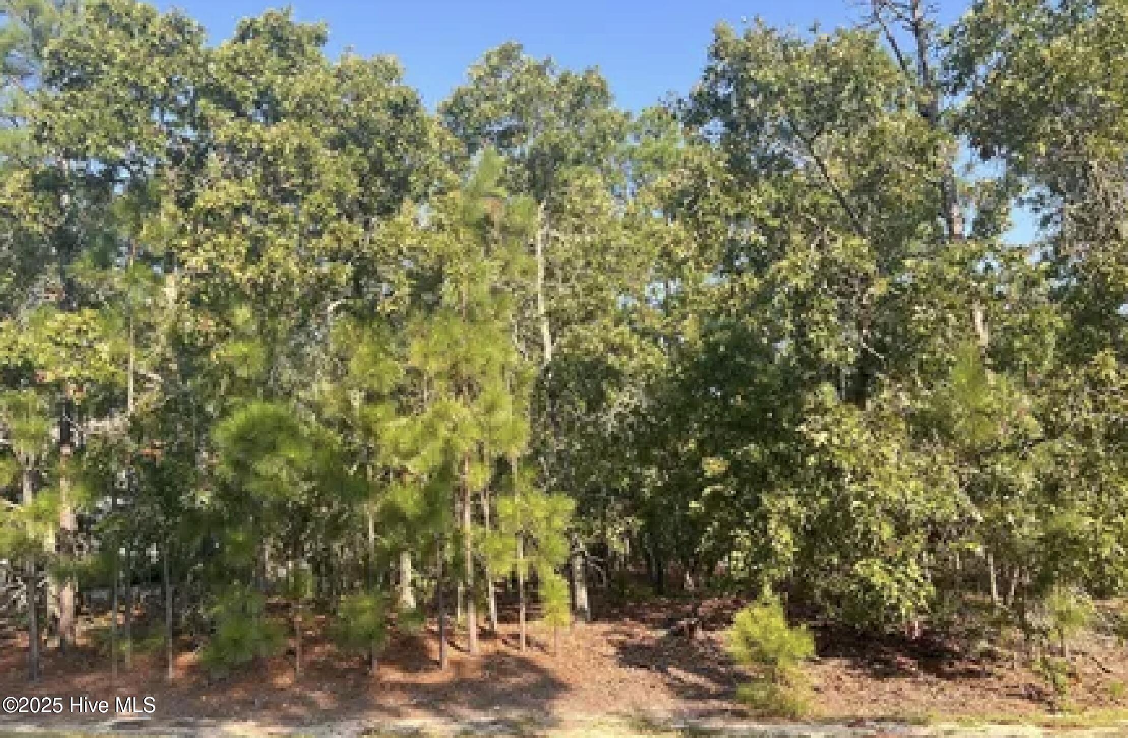 180 Longleaf Drive Property Photo