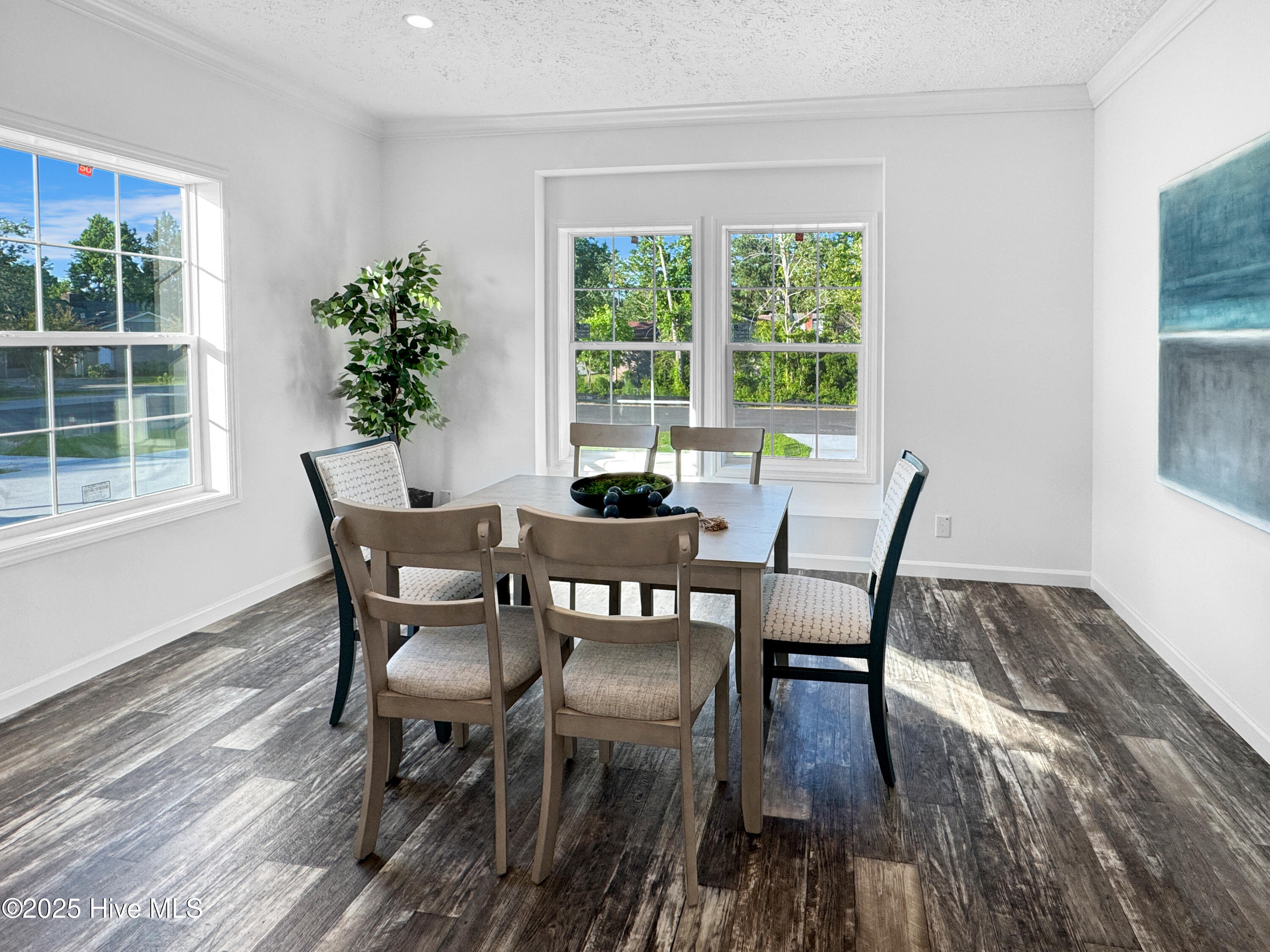 1009 Pine Ridge Court Property Photo 4