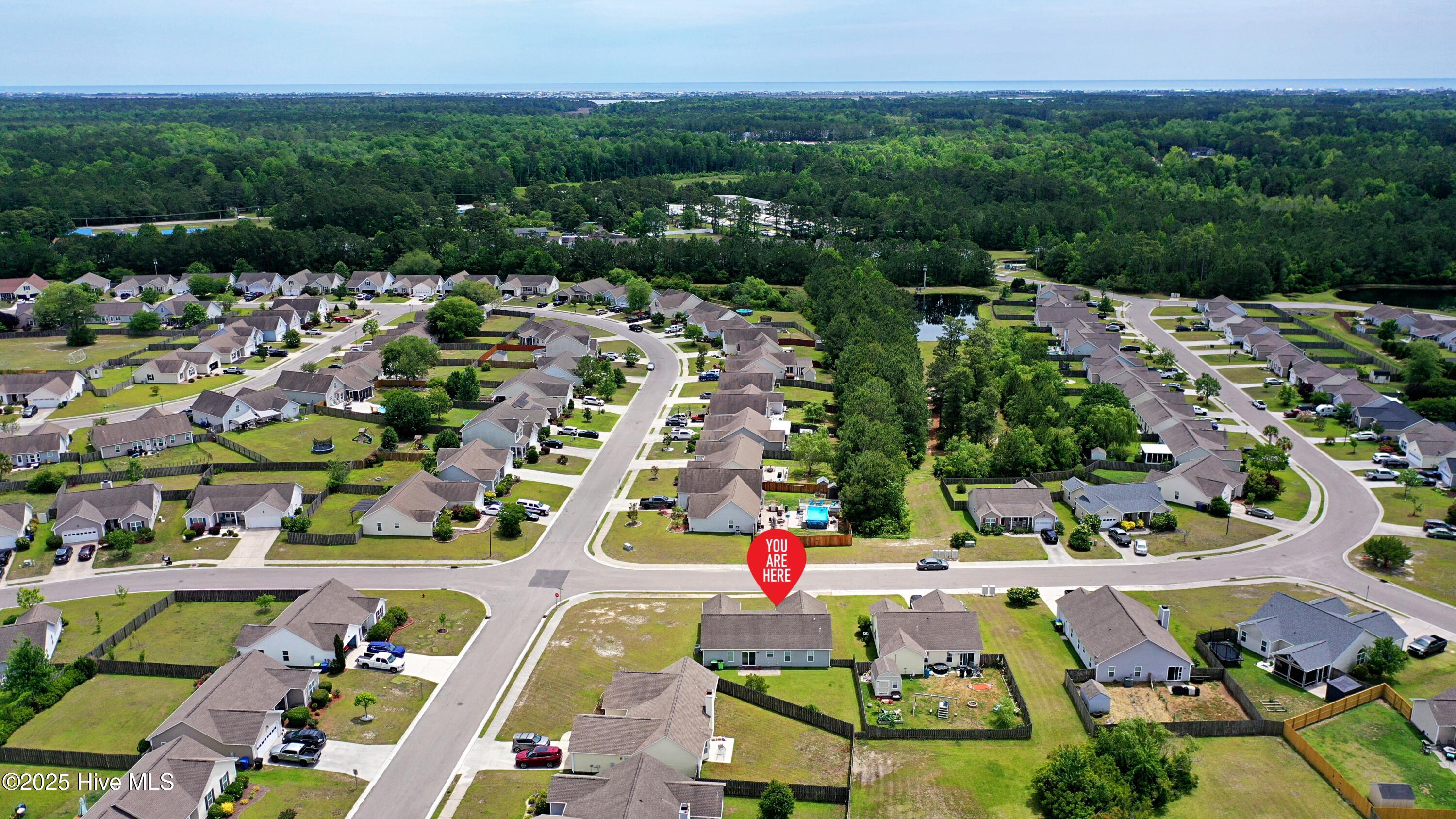 229 Red Carnation Drive Property Photo 33