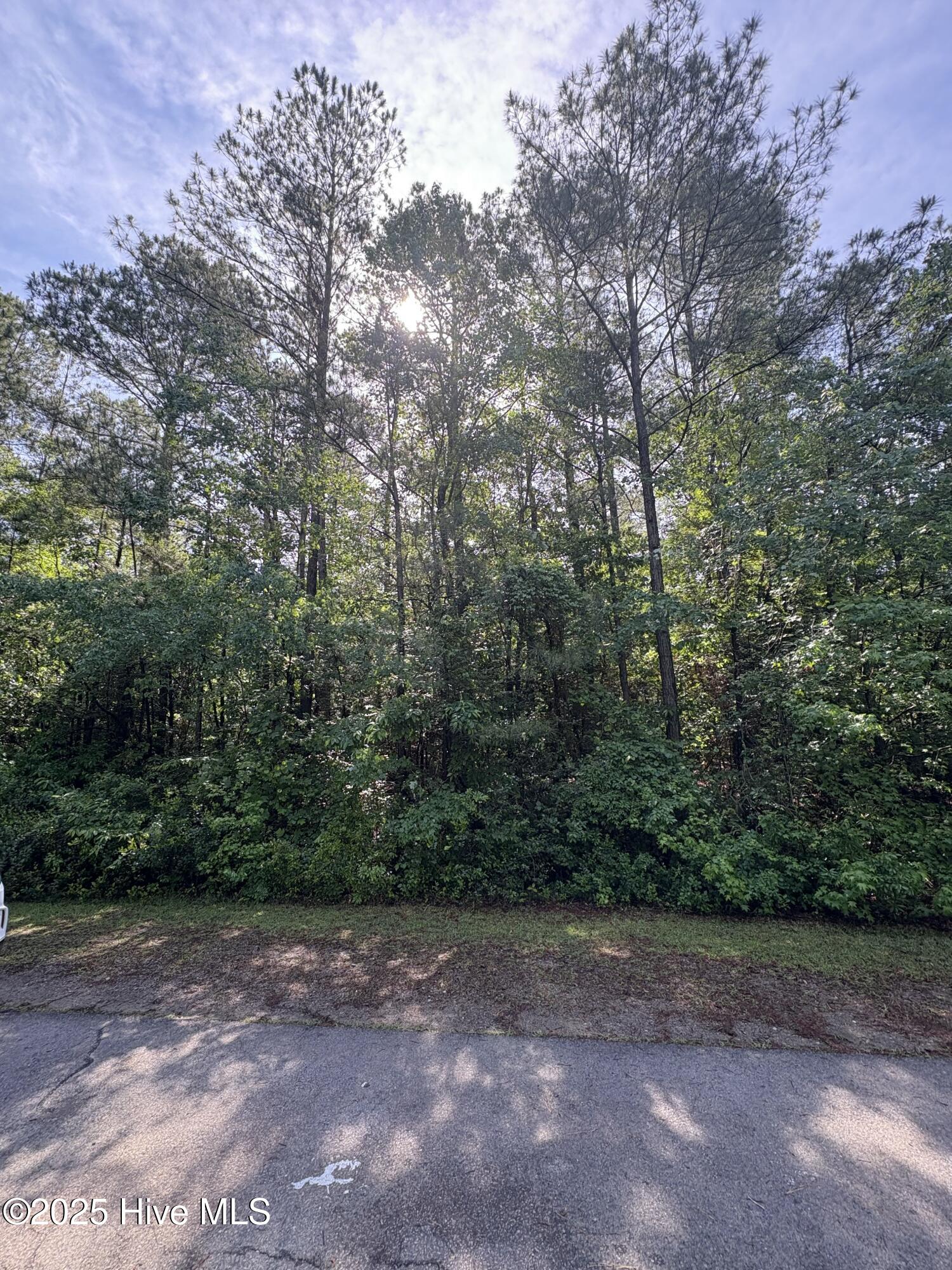 809 Sumac Lane Property Photo 1