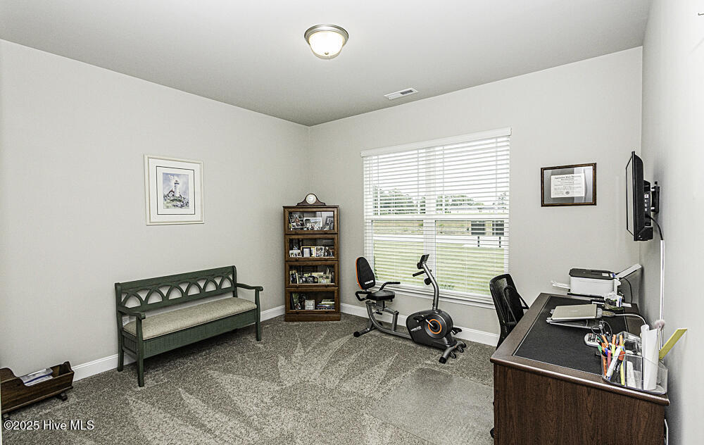 5044 Golden Willow Drive Property Photo 13