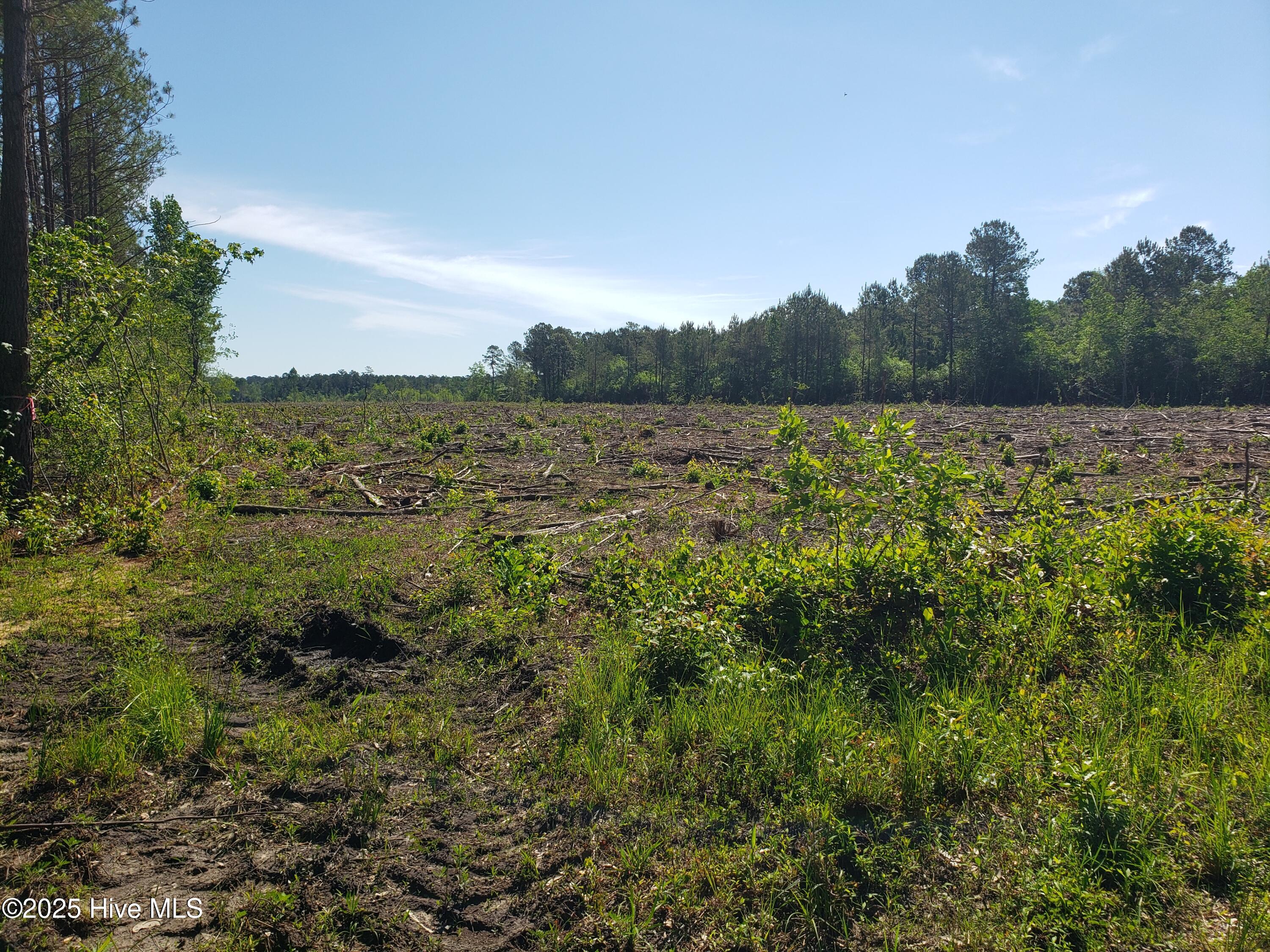 23.95ac Loop Road Property Photo