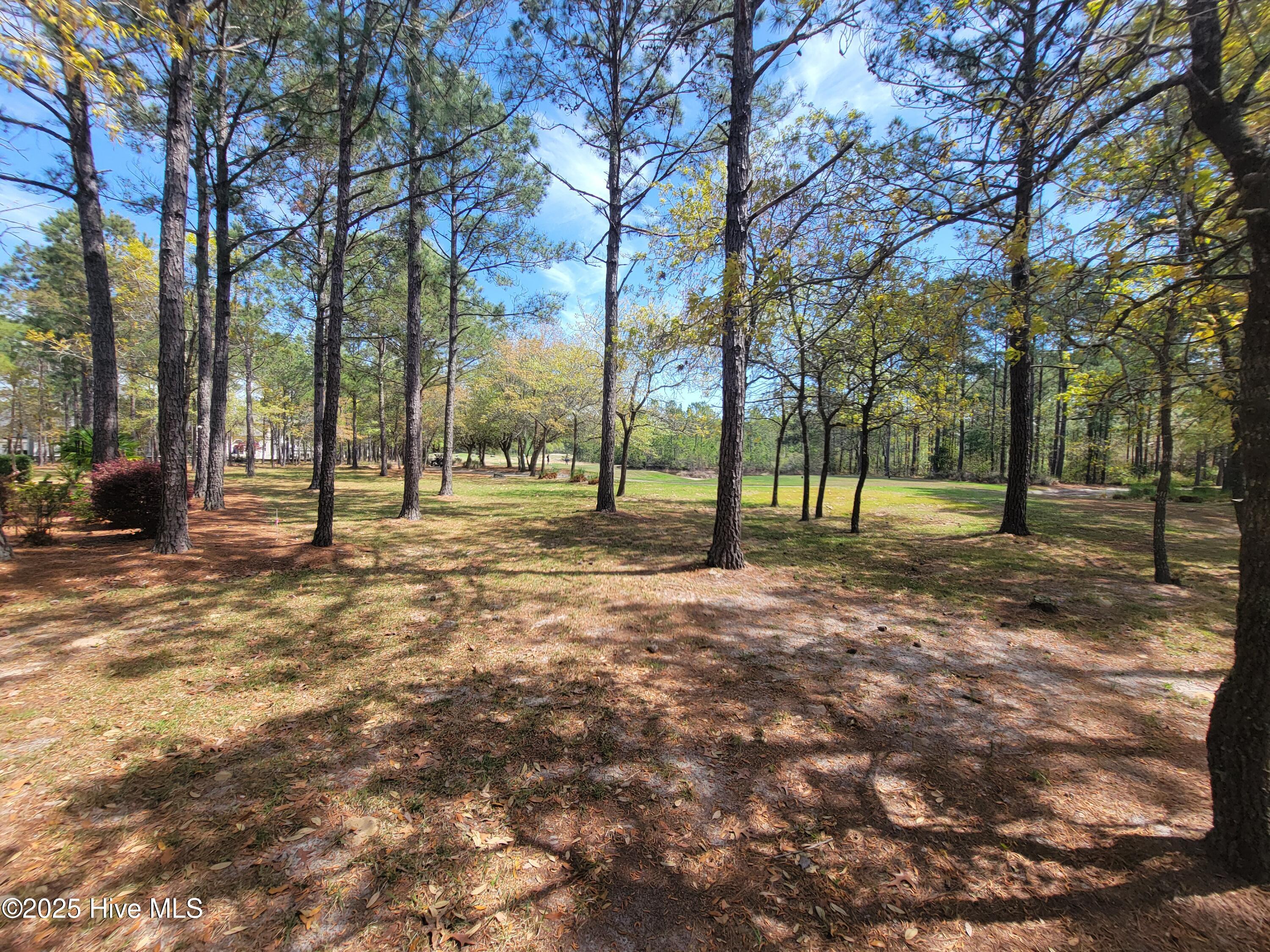 6618 Annesbrook Place Property Photo 1