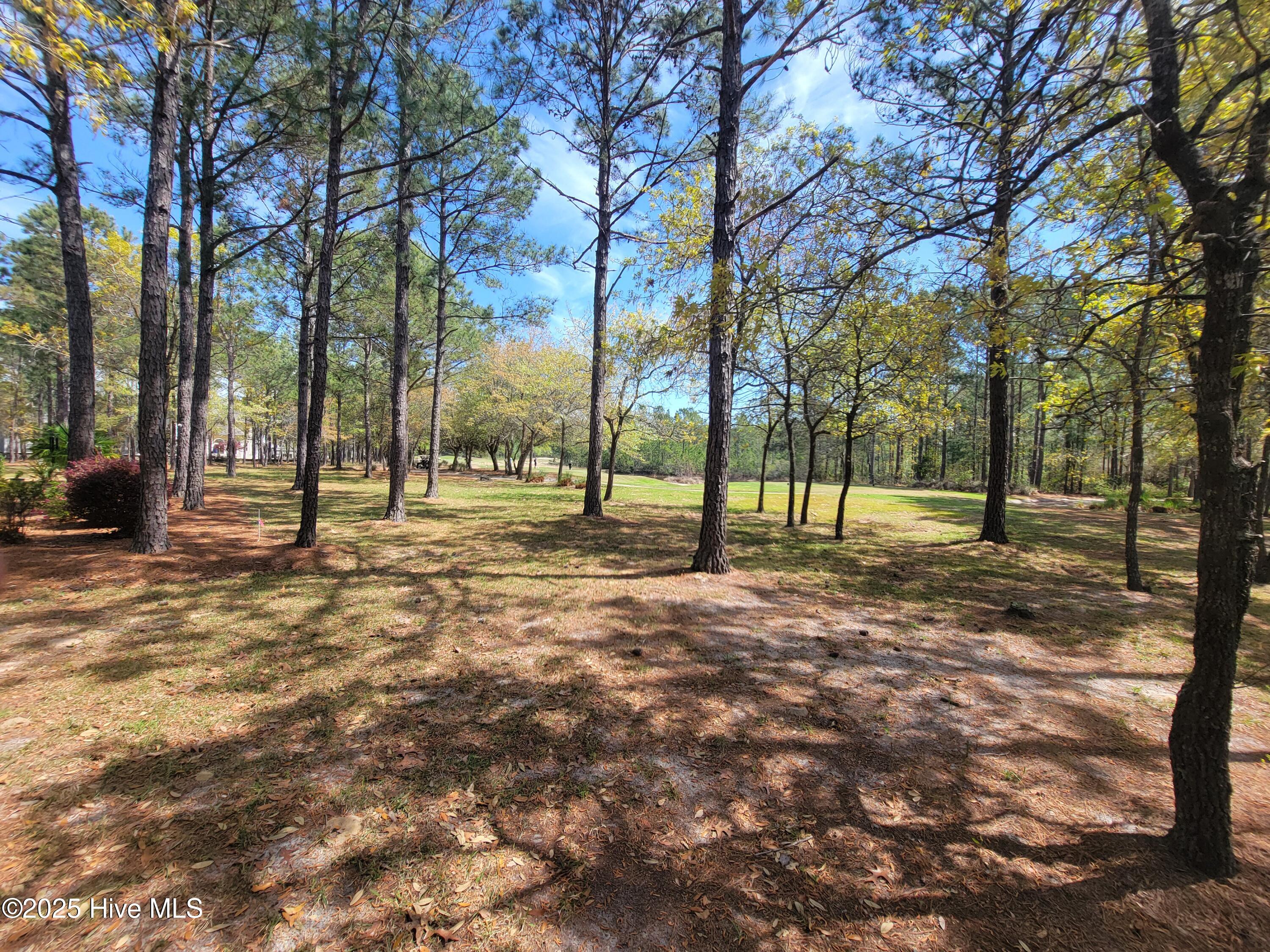 6618 Annesbrook Place Property Photo 2