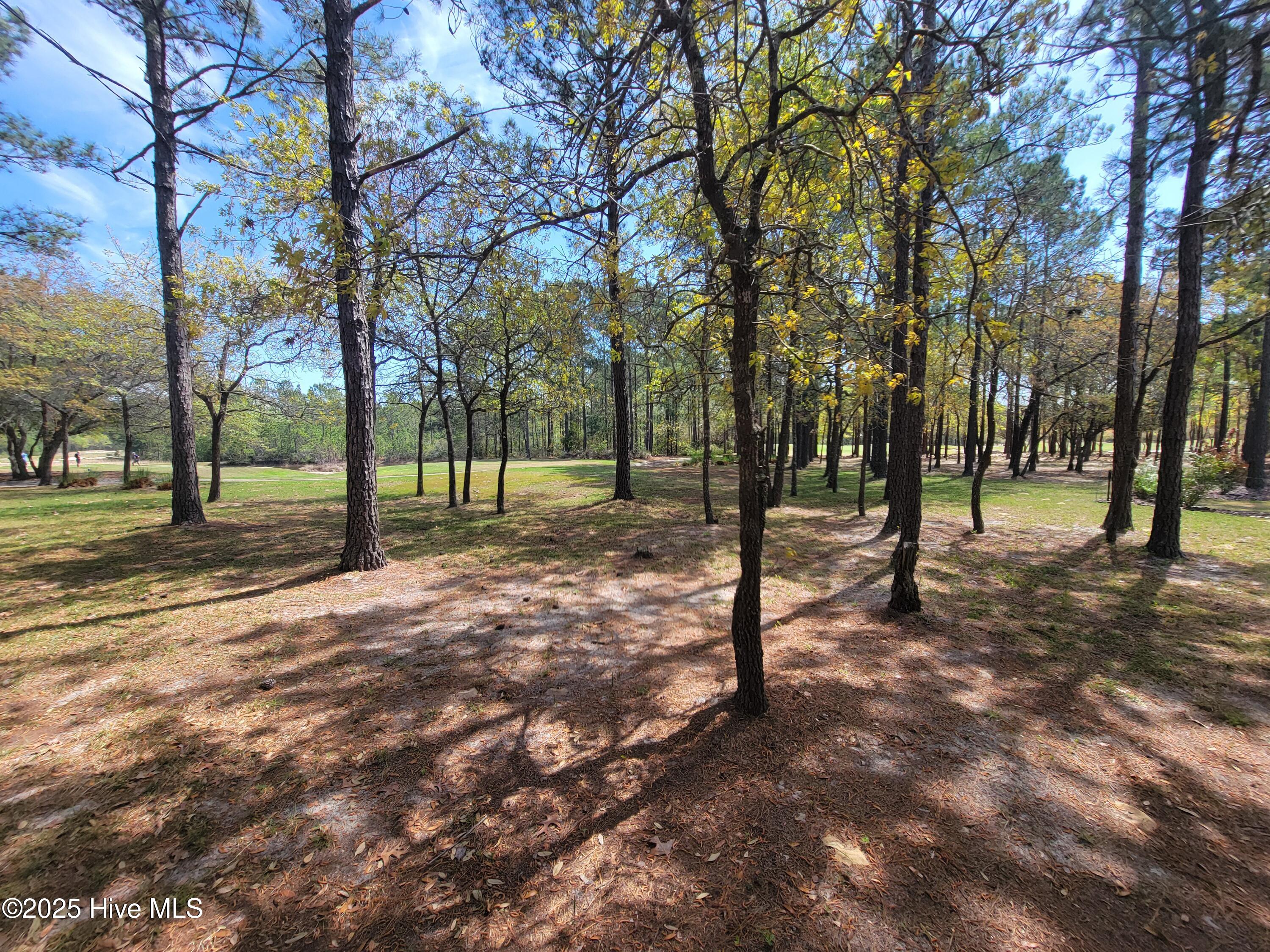 6618 Annesbrook Place Property Photo 3