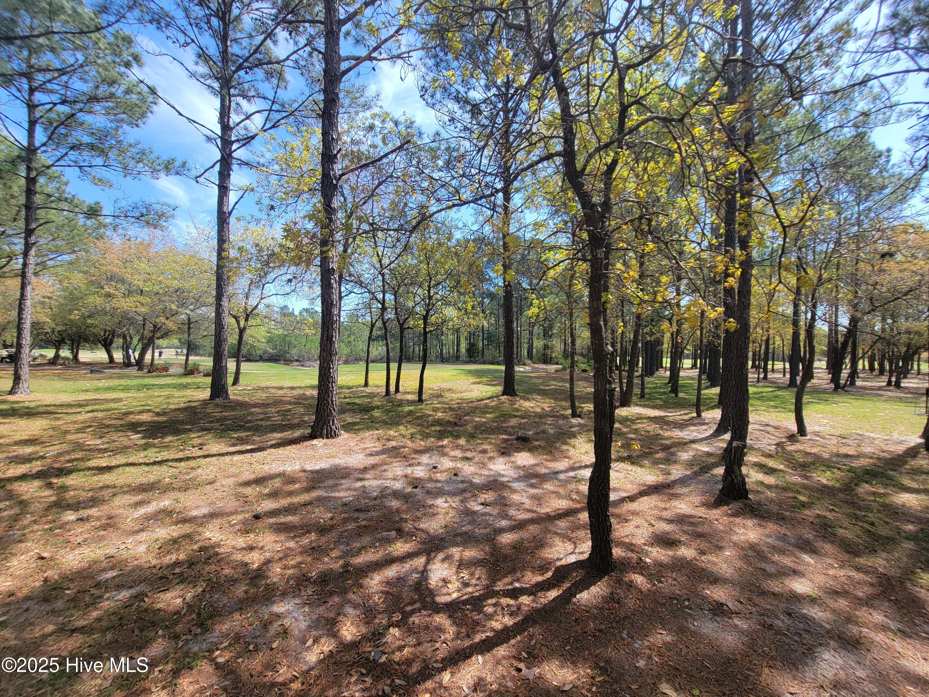 6618 Annesbrook Place Property Photo 6