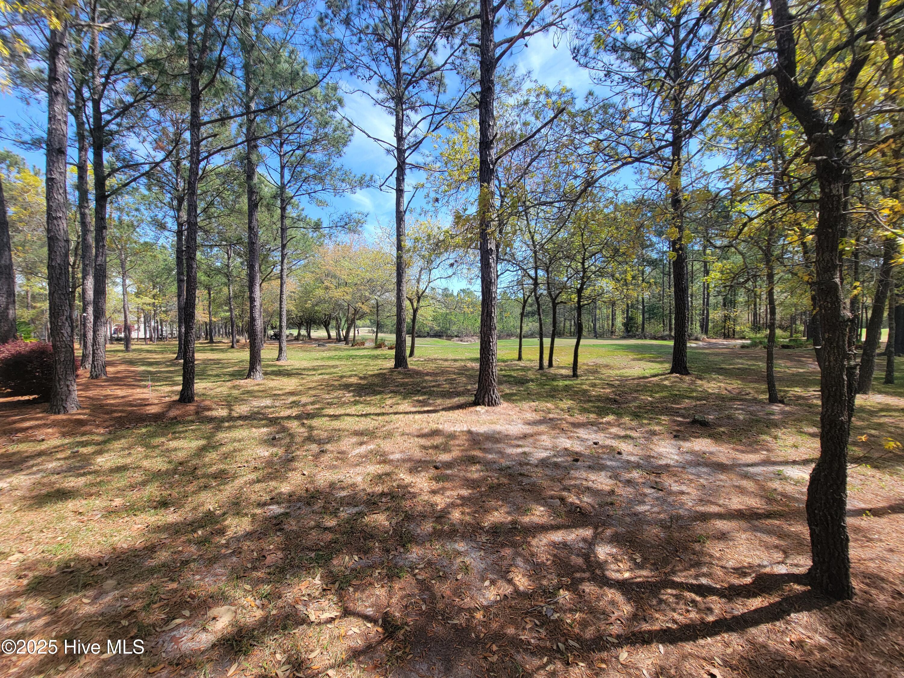 6618 Annesbrook Place Property Photo 7