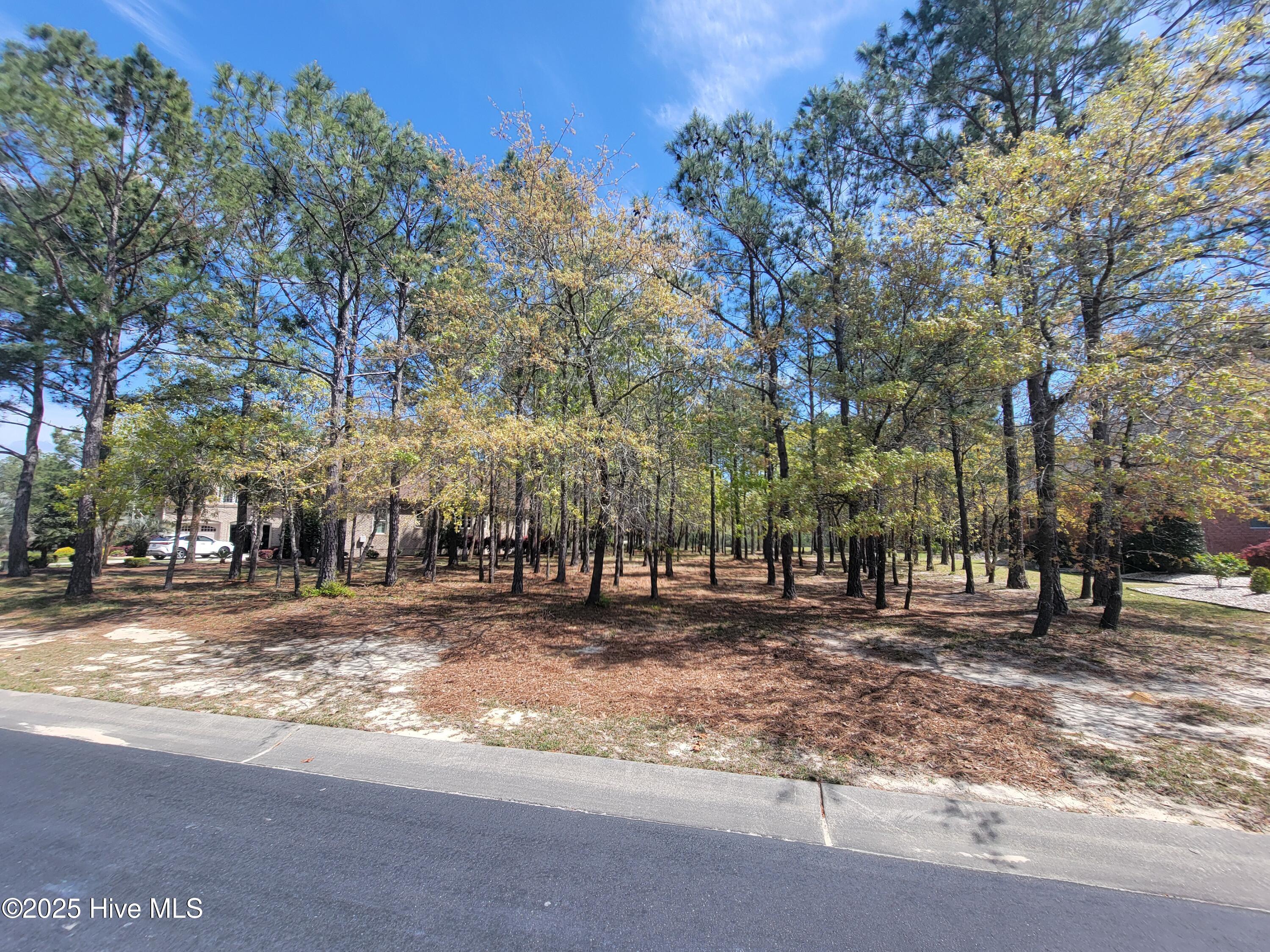 6618 Annesbrook Place Property Photo 8