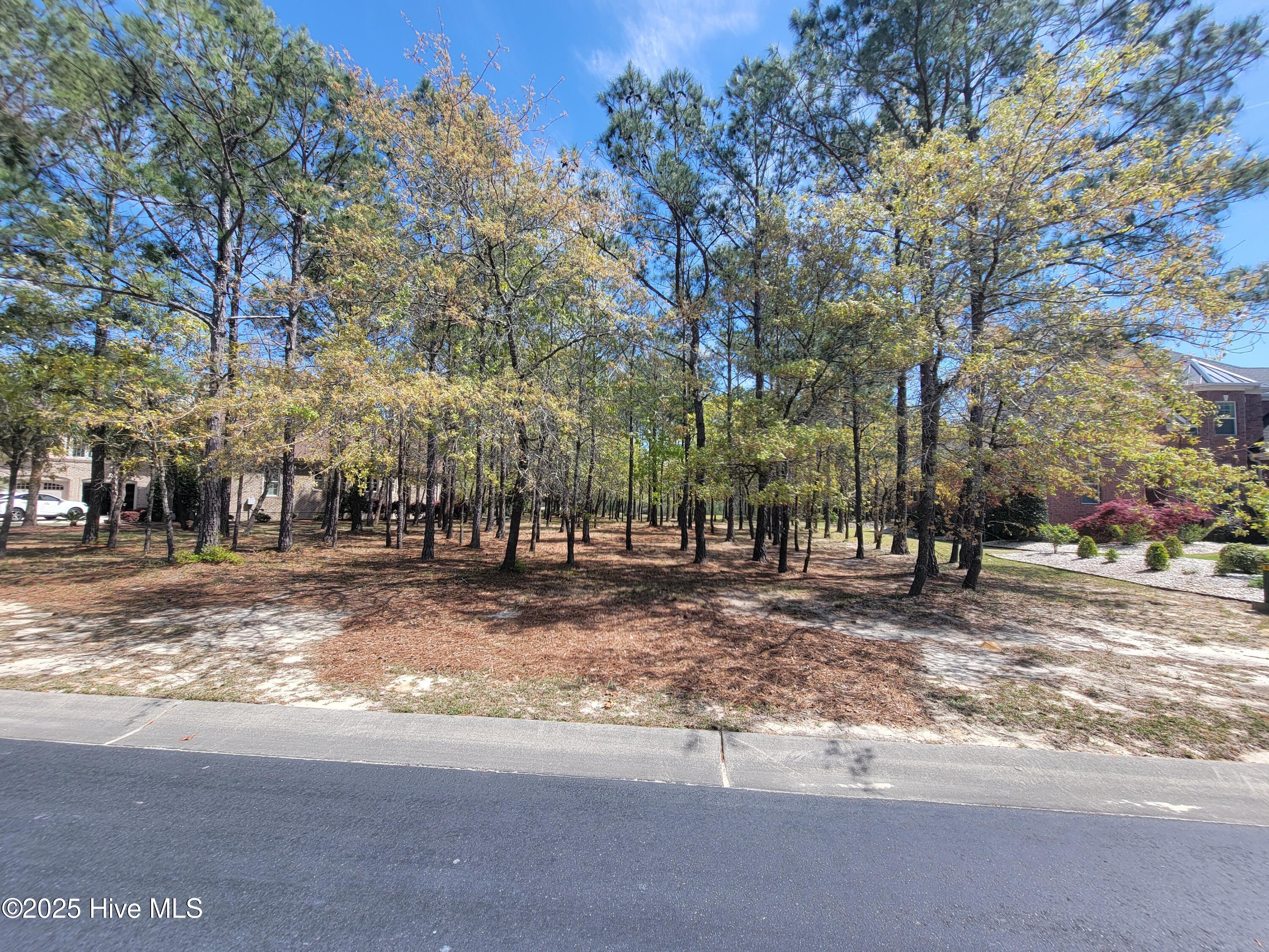 6618 Annesbrook Place Property Photo 9