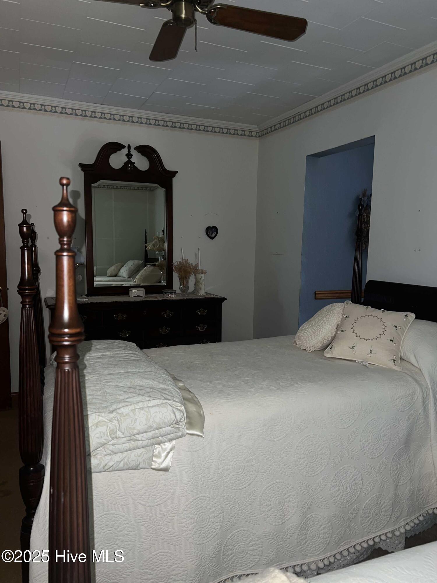 215 Nunn Street Property Photo 34
