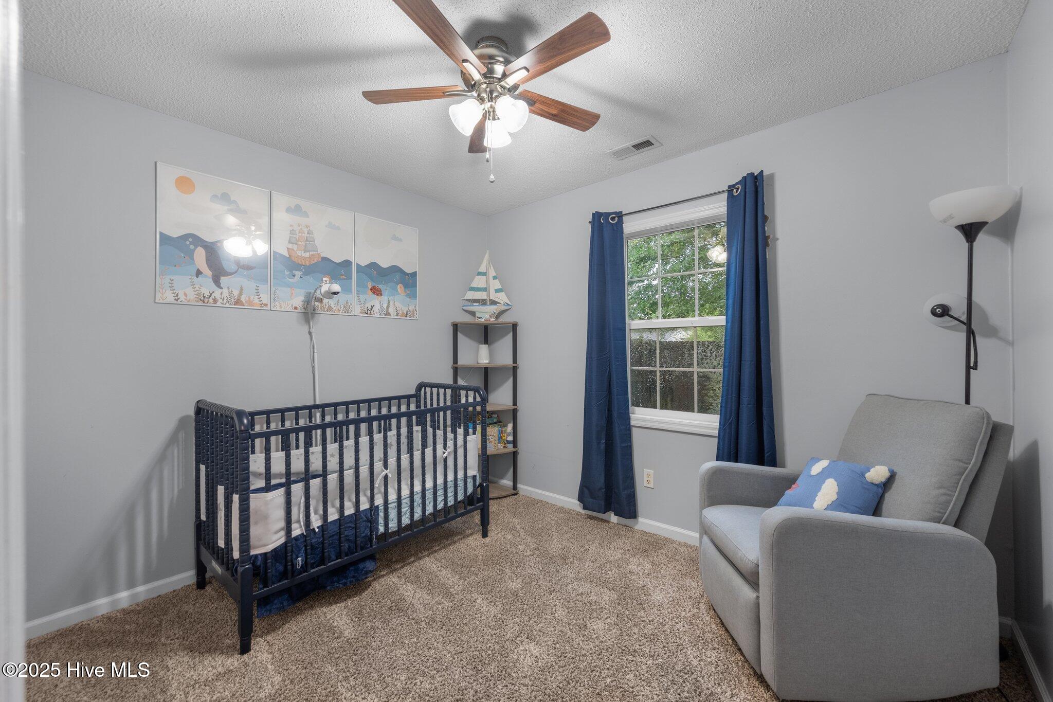 302 Mertz Court Property Photo 36