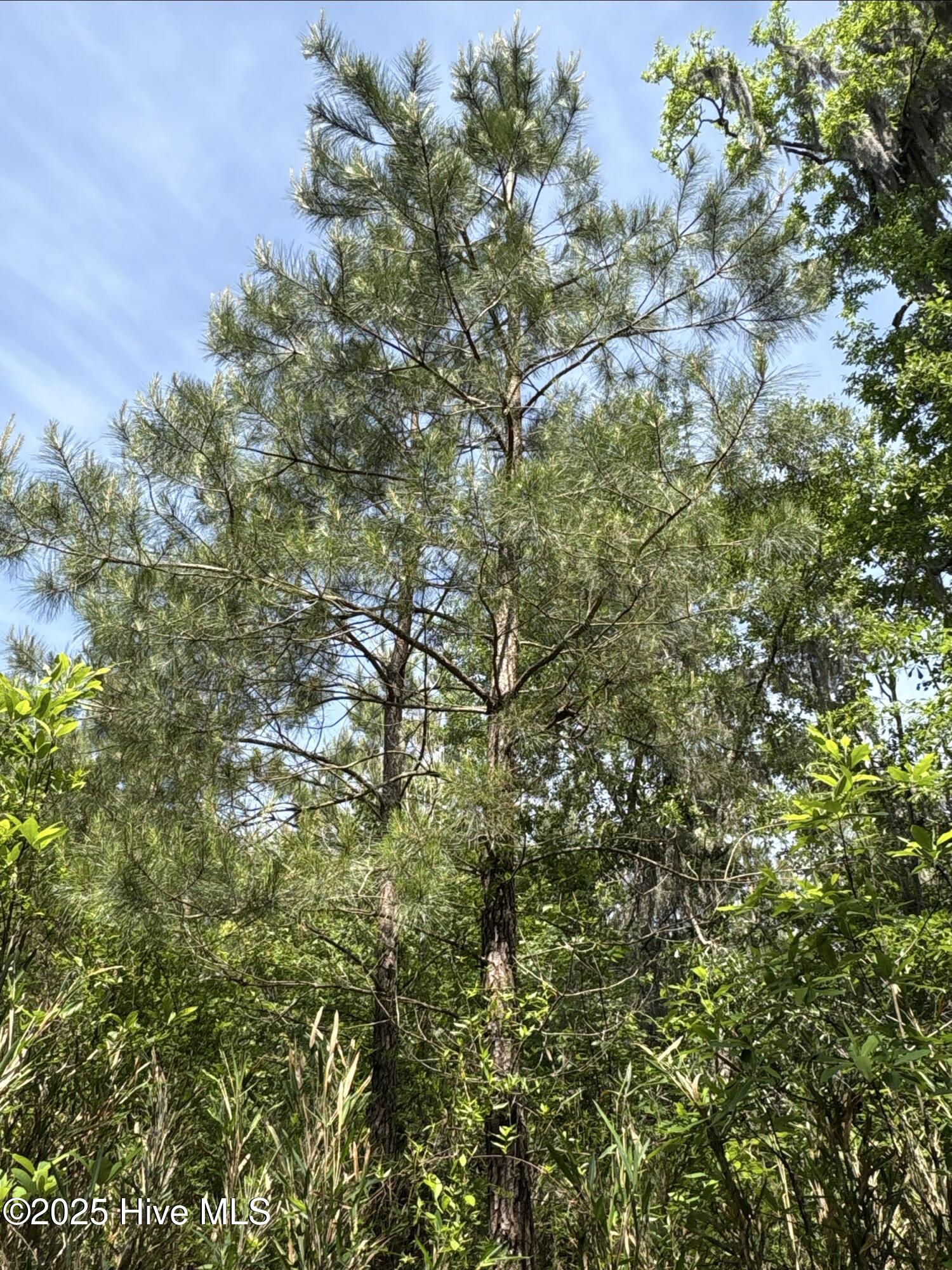 0 Nc 33 Off Property Photo