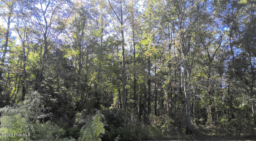 0 Us-258 Property Photo 2