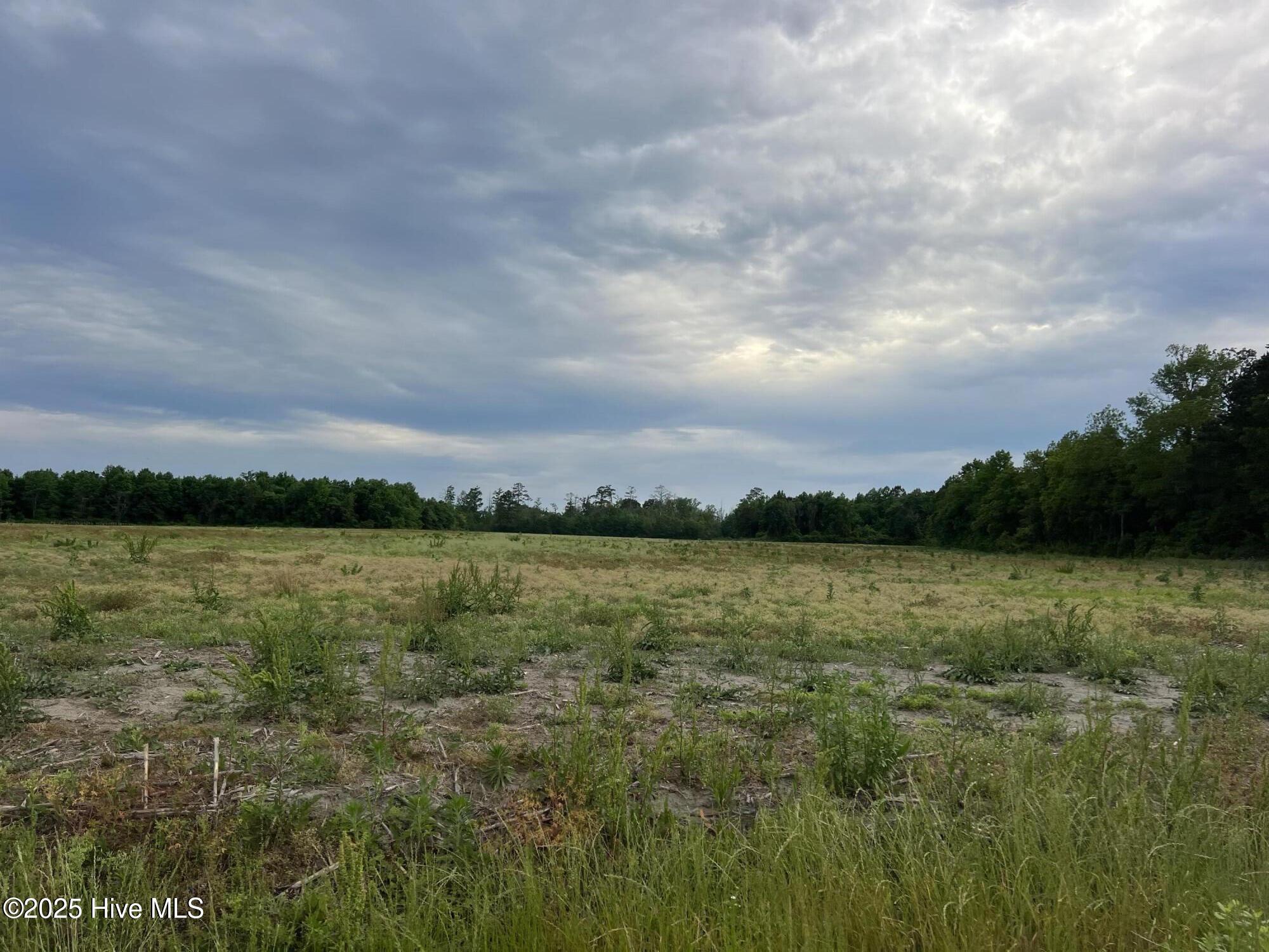 0 Sr 1918 Road Property Photo 6