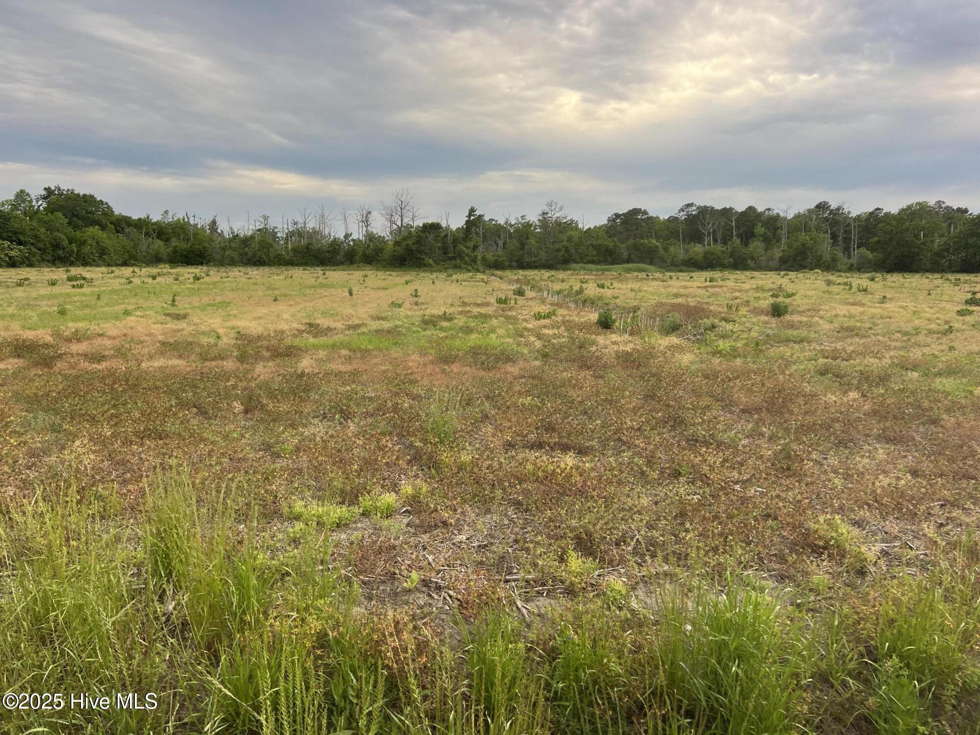 0 Sr 1918 Road Property Photo 8