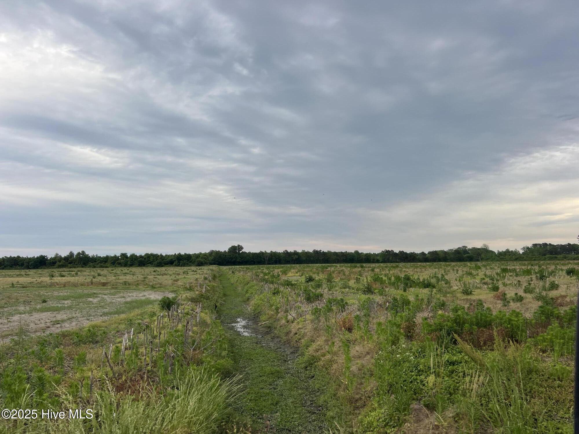 0 Sr 1918 Road Property Photo 11