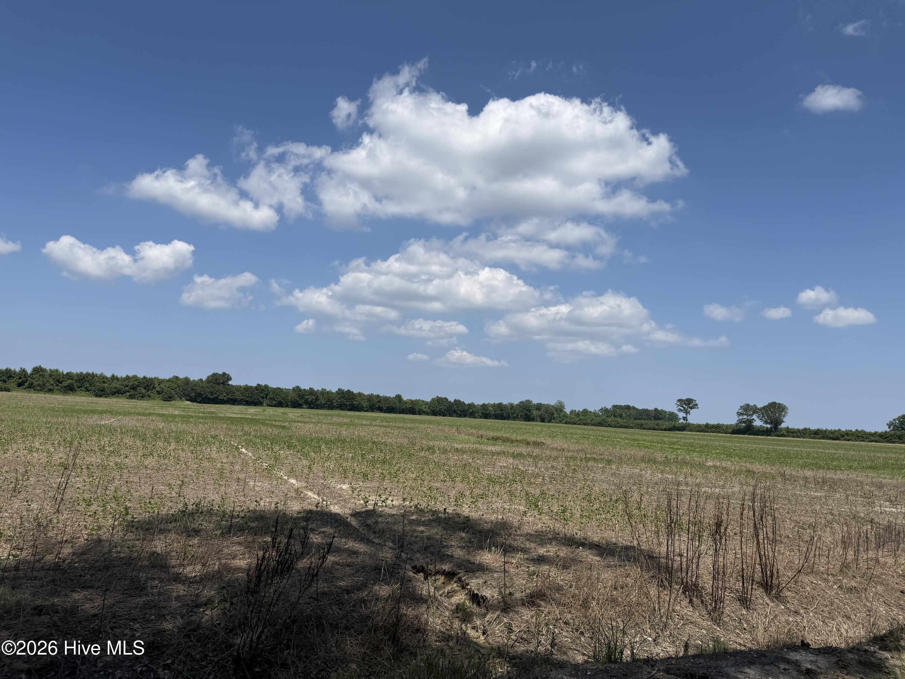 0 Sr 1918 Road Property Photo 50
