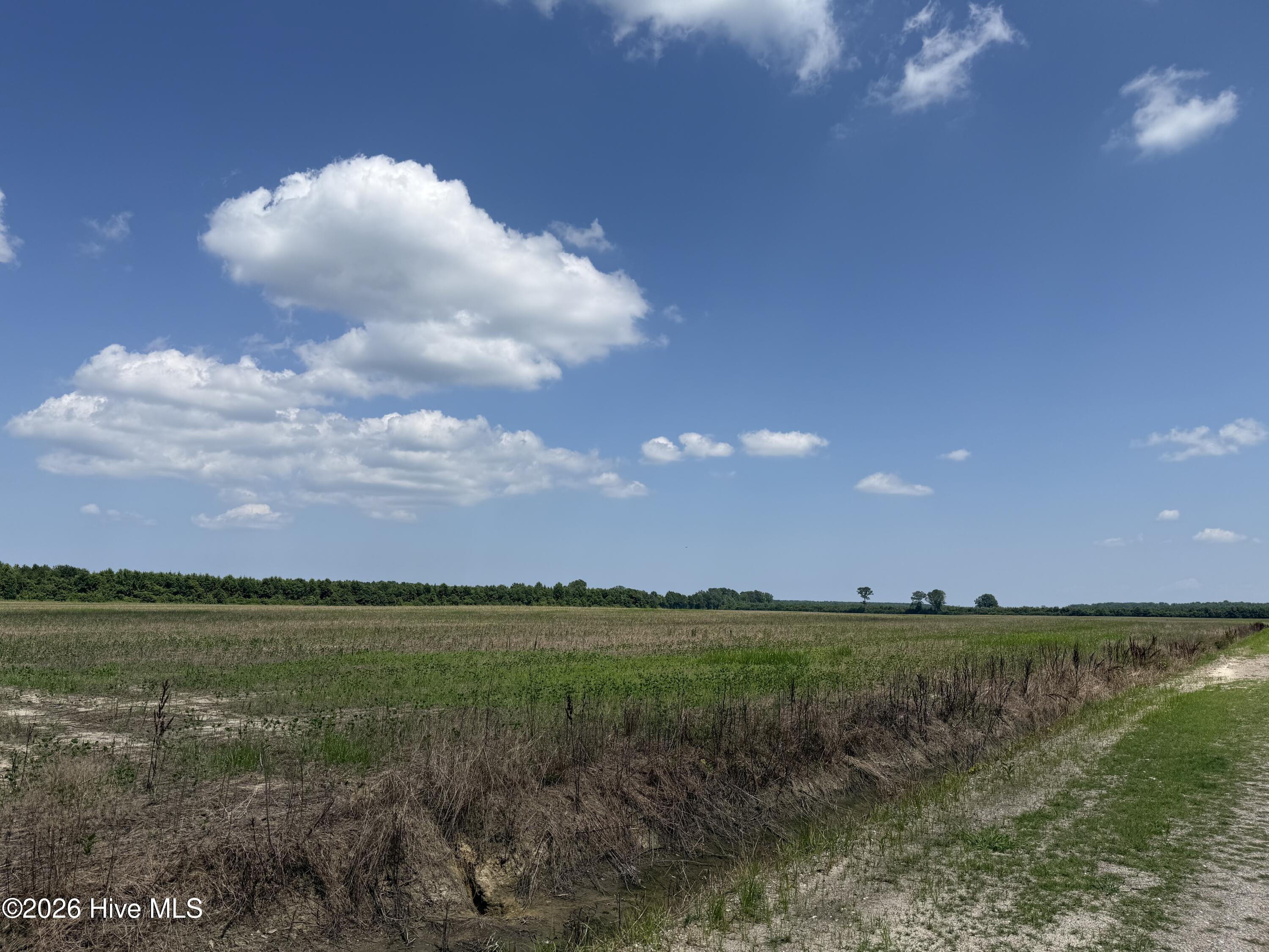 0 Sr 1918 Road Property Photo 51