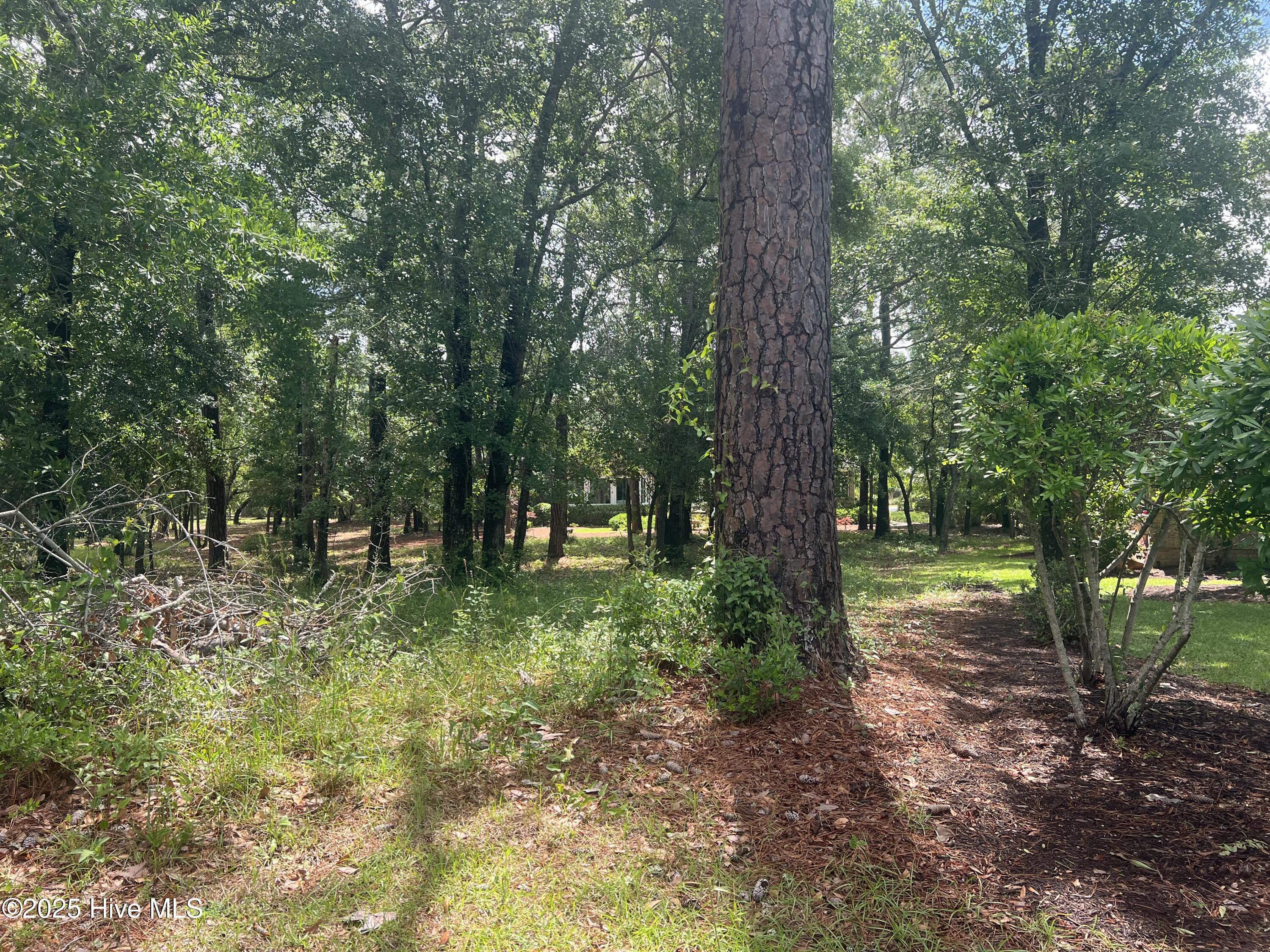 536 Longfellow Place Property Photo 1