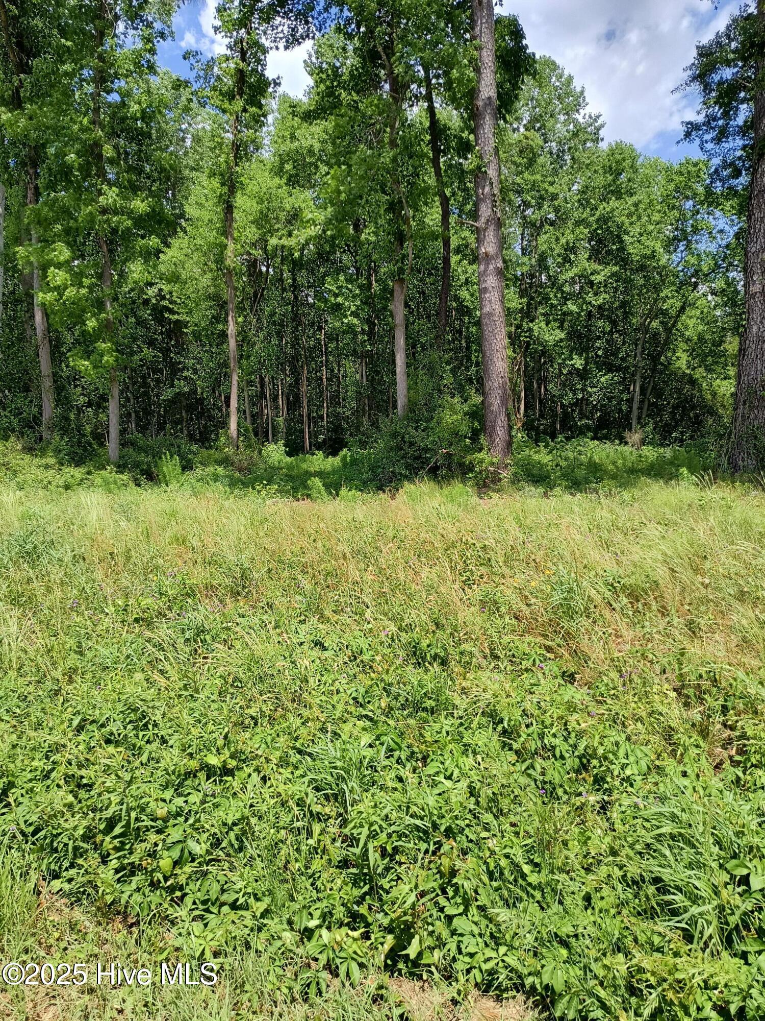 Lot B Tyree Road Property Photo
