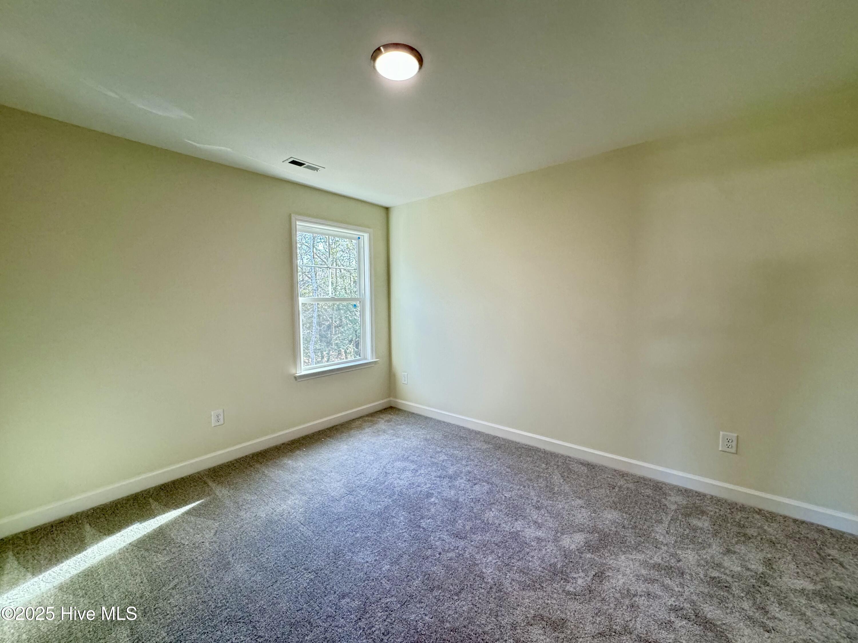 101 Baileys Place Property Photo 25