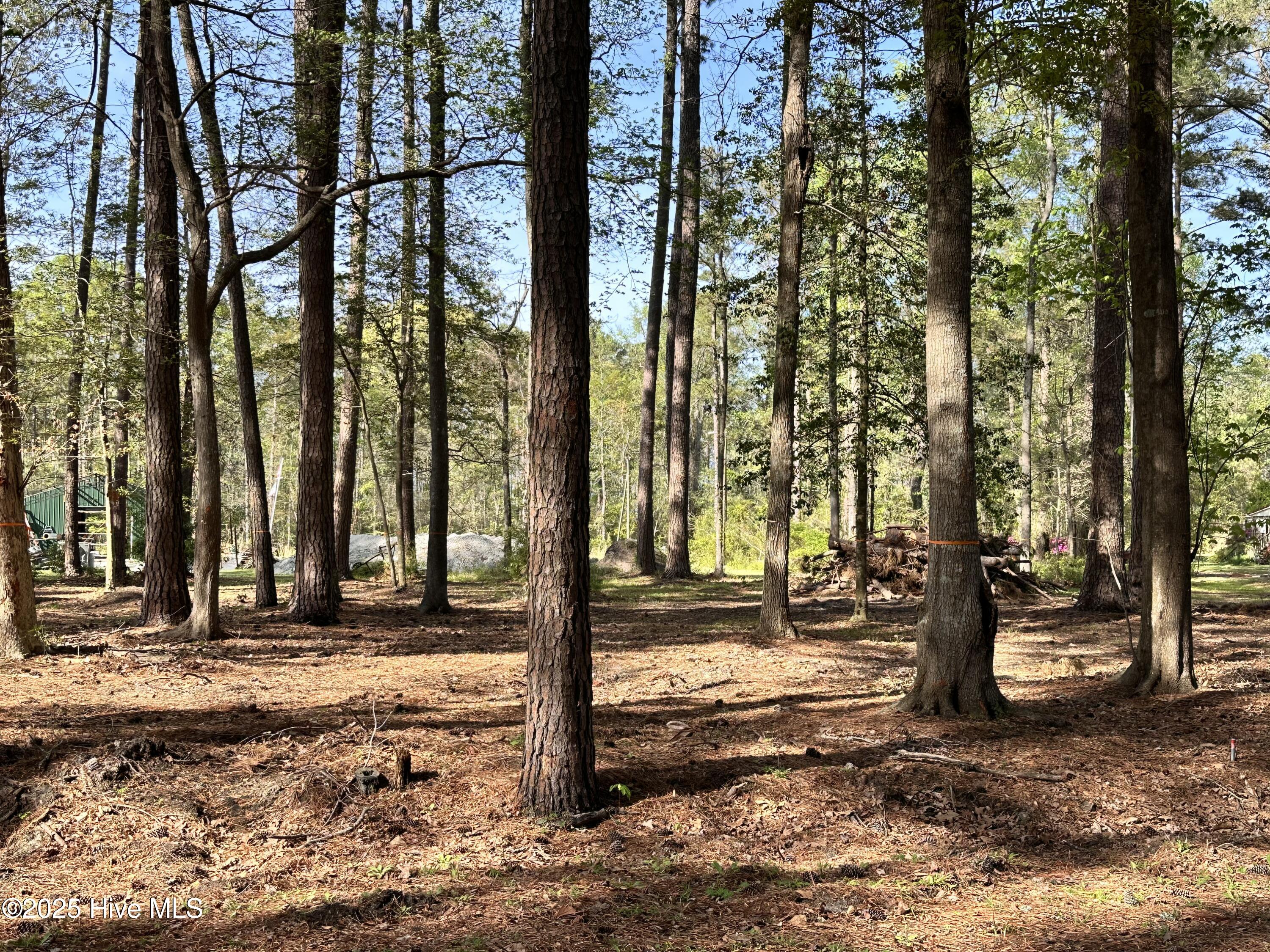 Lot Oakwood Lane Property Photo