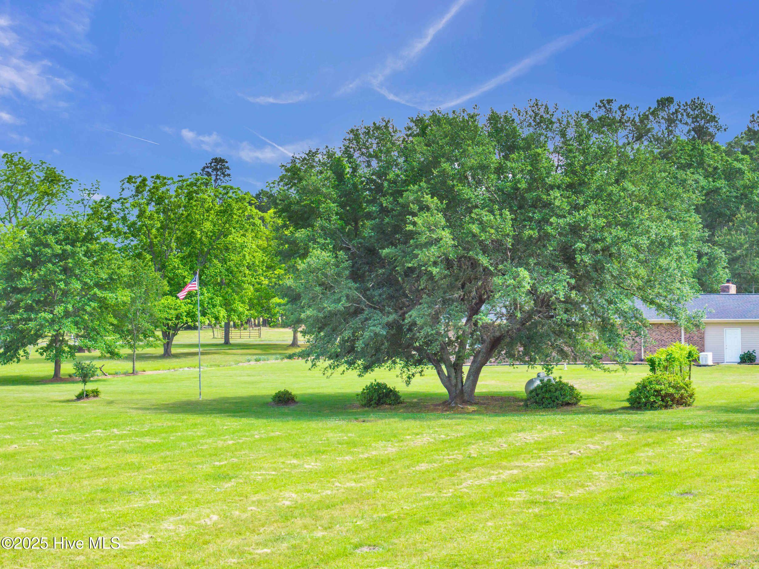 506 Dew Oil Plant Road Property Photo 52