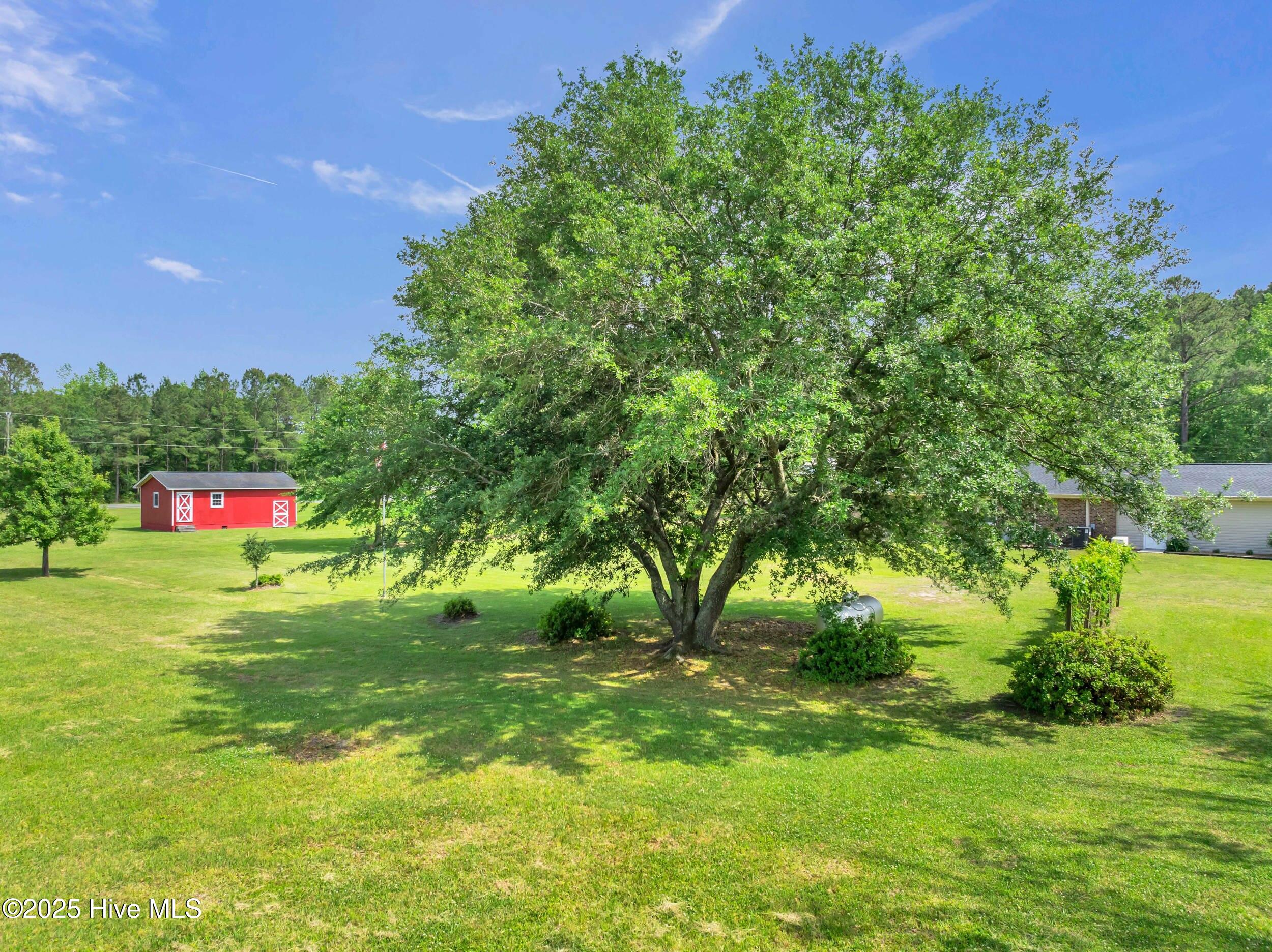 506 Dew Oil Plant Road Property Photo 53