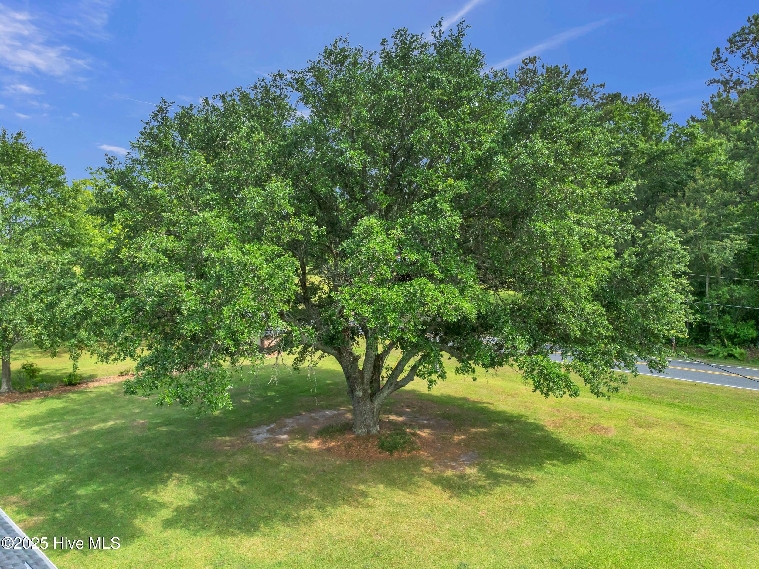 506 Dew Oil Plant Road Property Photo 61