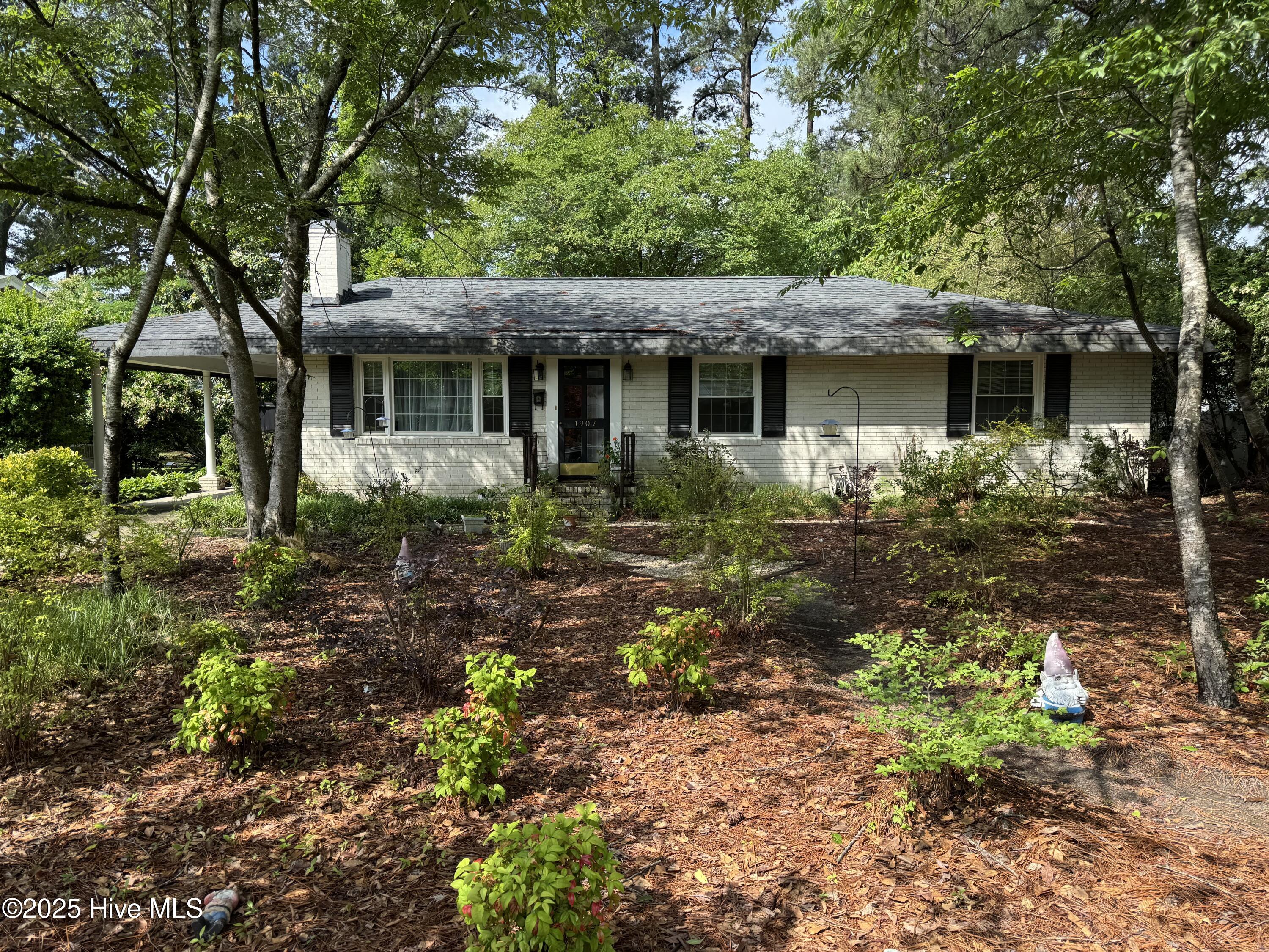 1907 Anderson Street Property Photo