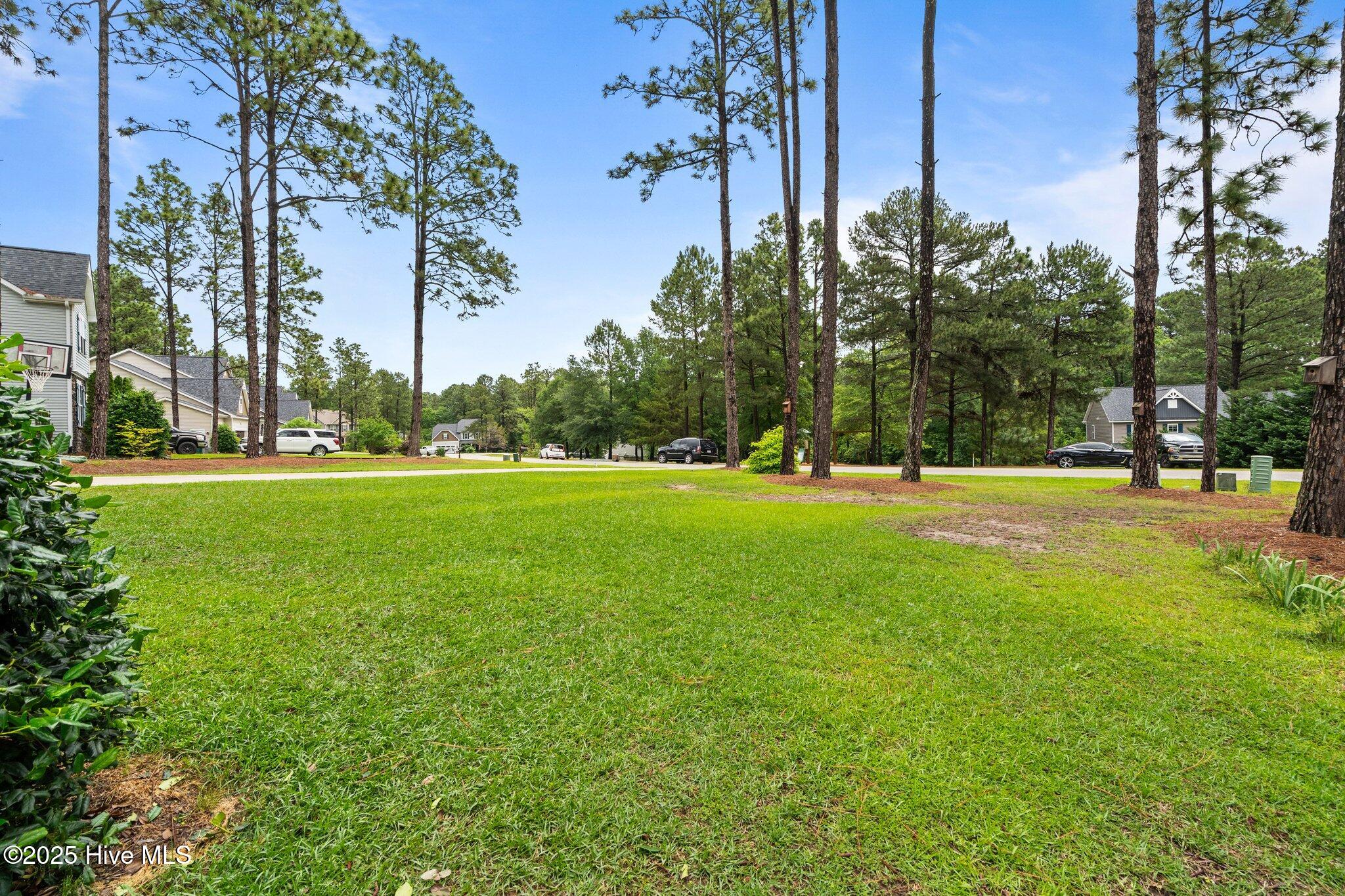 113 Whisper Grove Court Property Photo 40