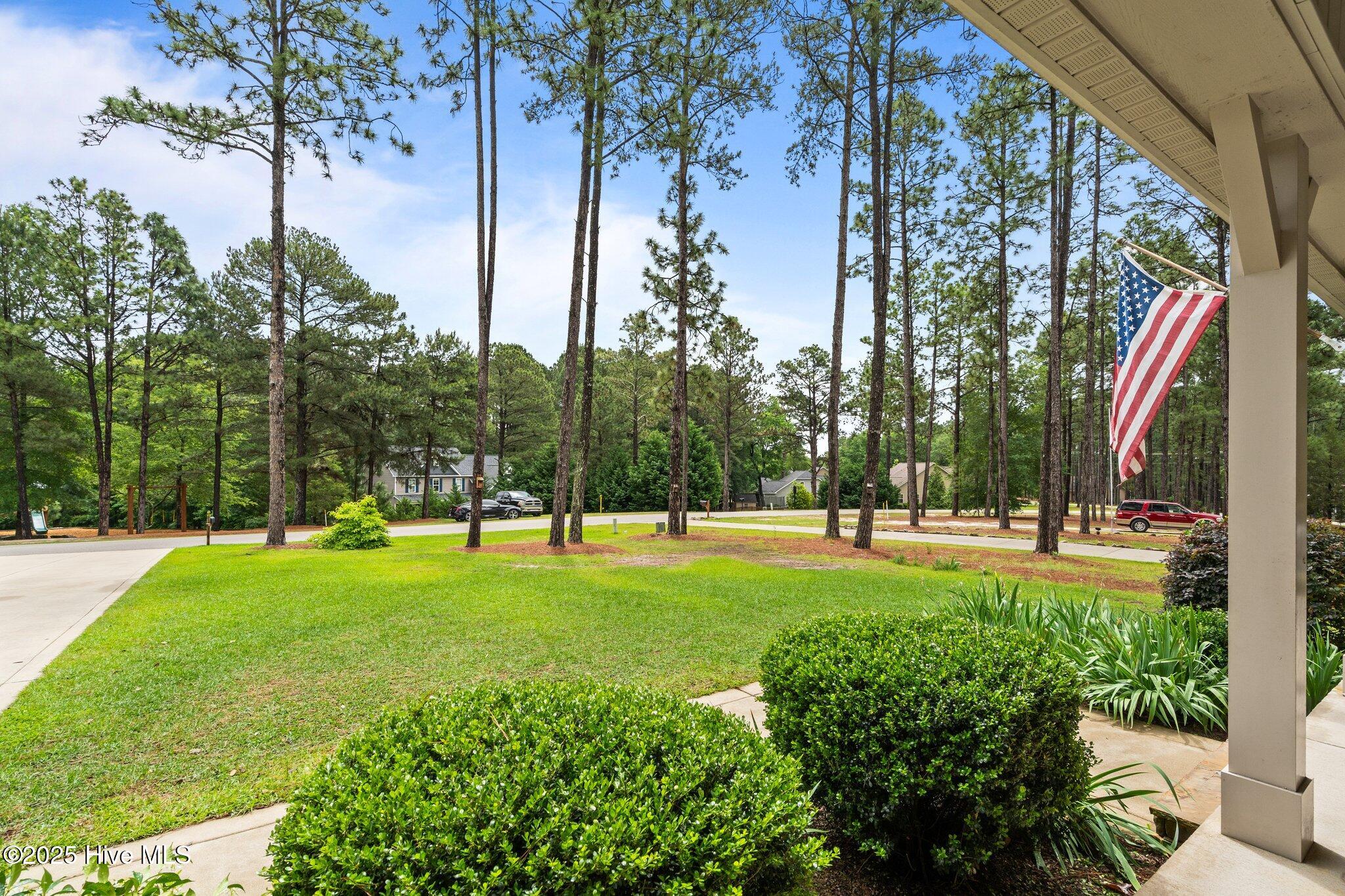 113 Whisper Grove Court Property Photo 60