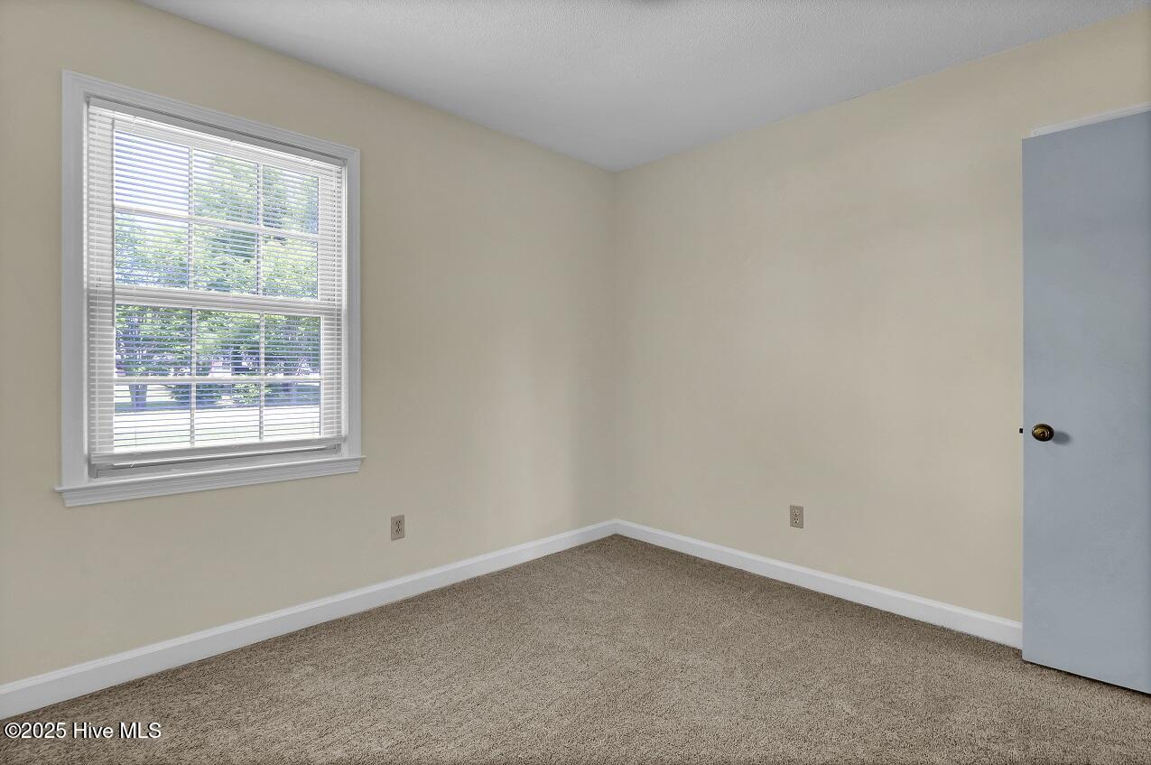 805 Hamlet Avenue Property Photo 19