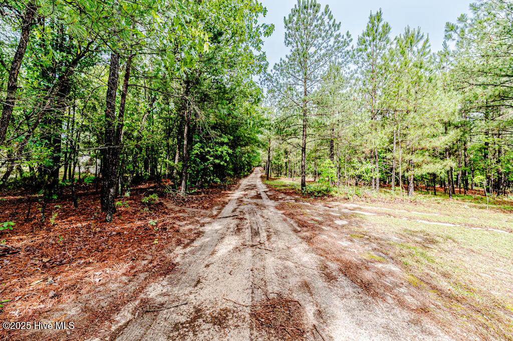 988 Nighthawk Loop Property Photo 2