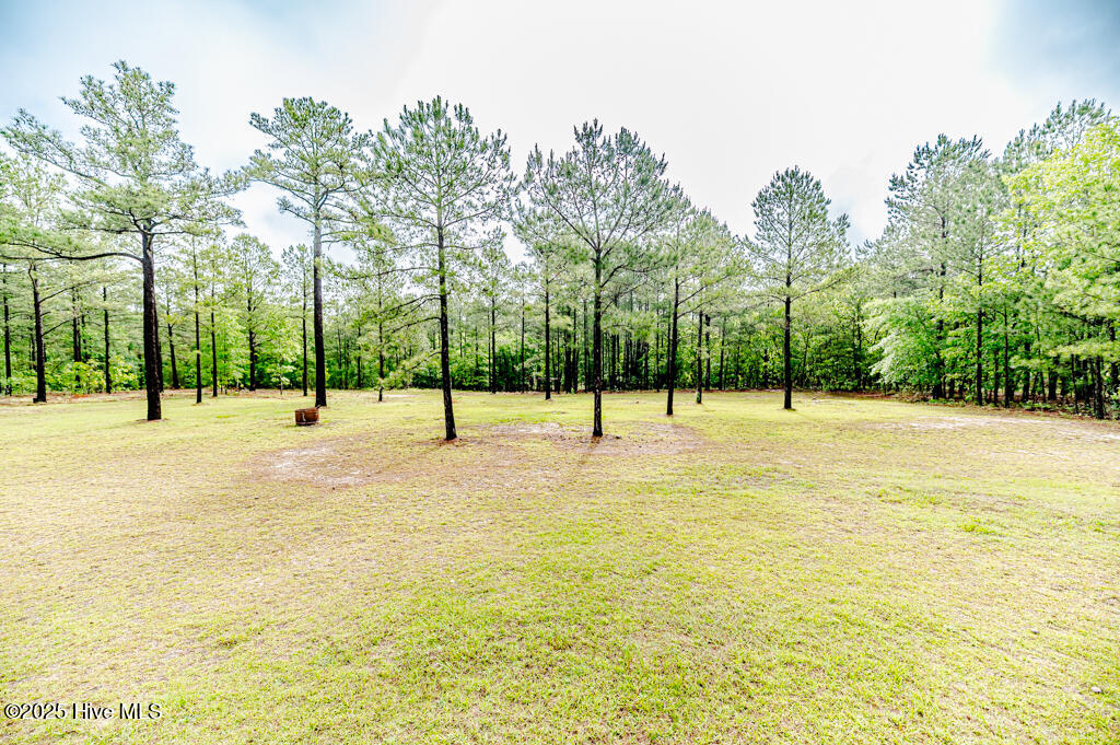 988 Nighthawk Loop Property Photo 13