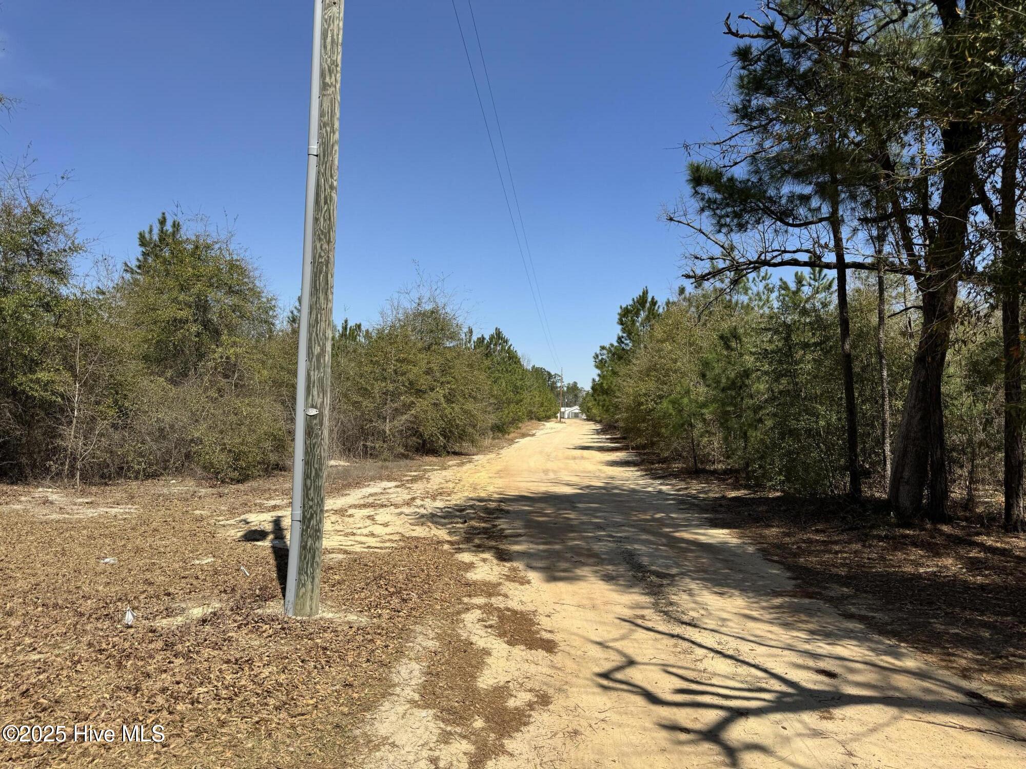 Tr 1/ Tr 2 Nc Highway 53 W Property Photo 4