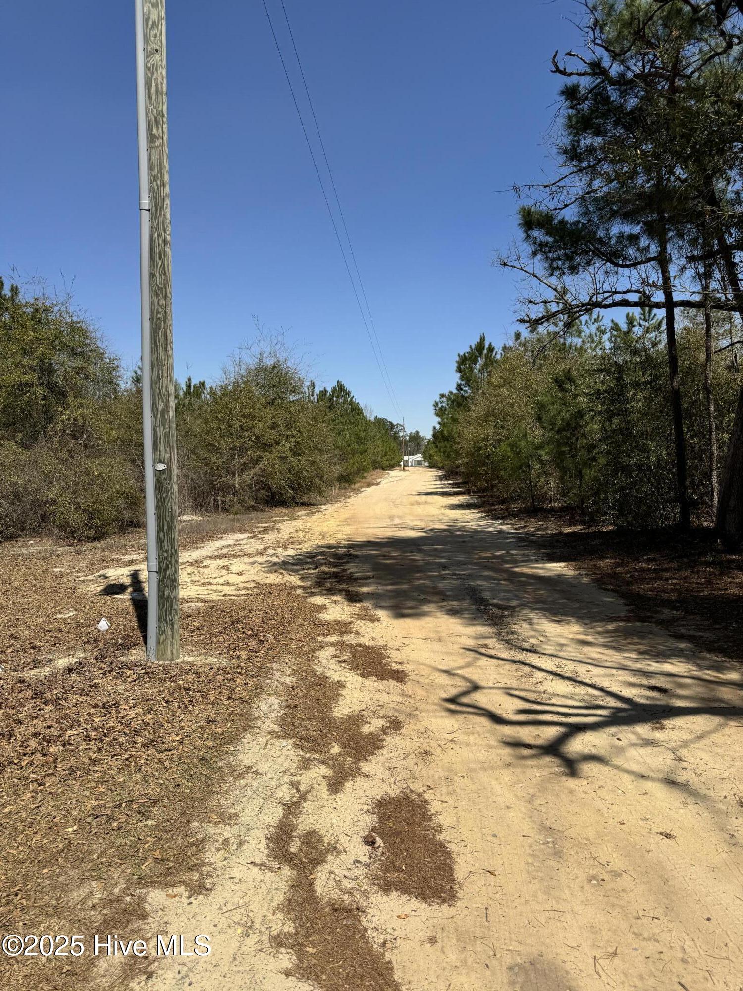 Tr 1/ Tr 2 Nc Highway 53 W Property Photo 5