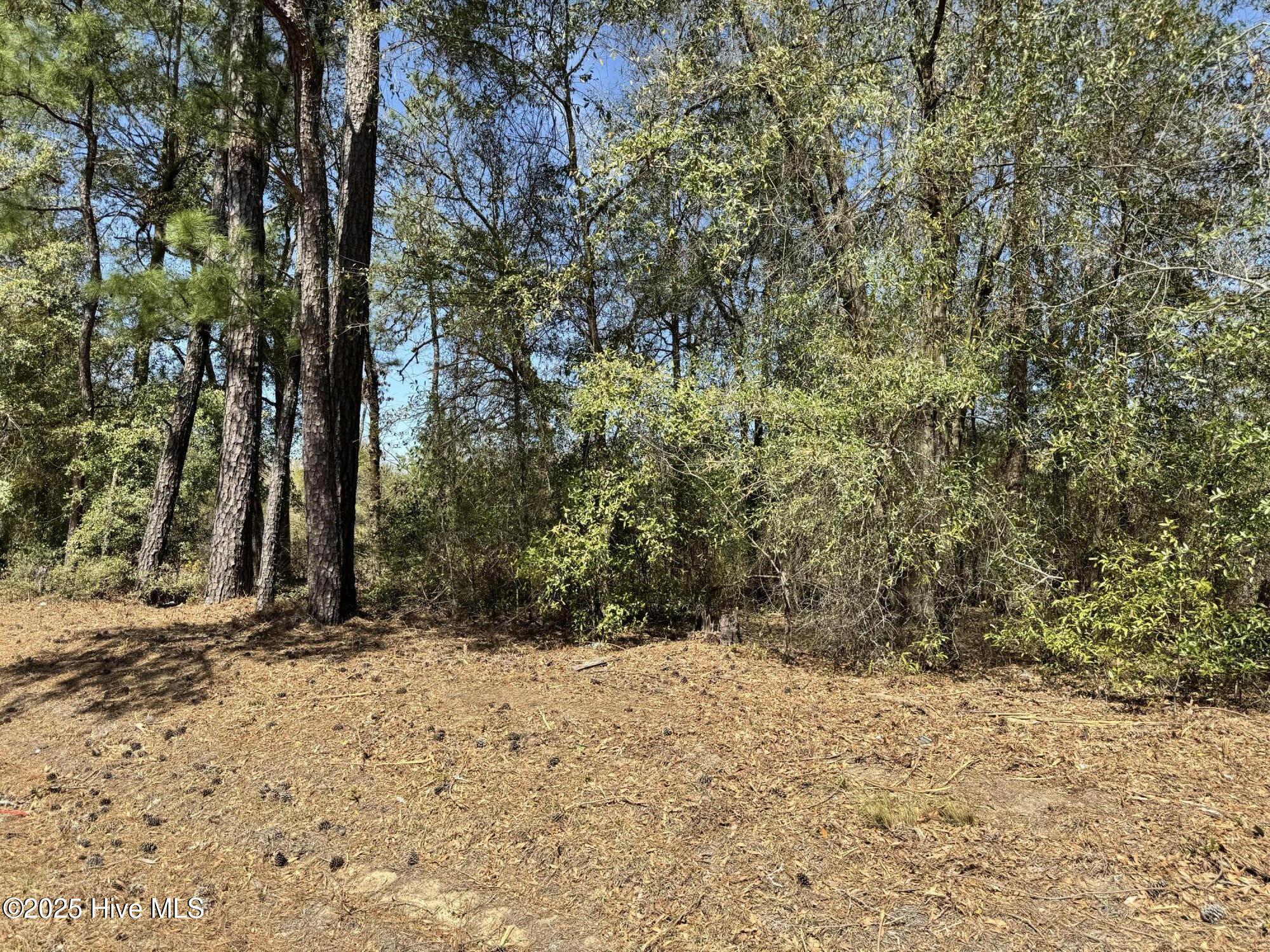 Tr 1/ Tr 2 Nc Highway 53 W Property Photo 7