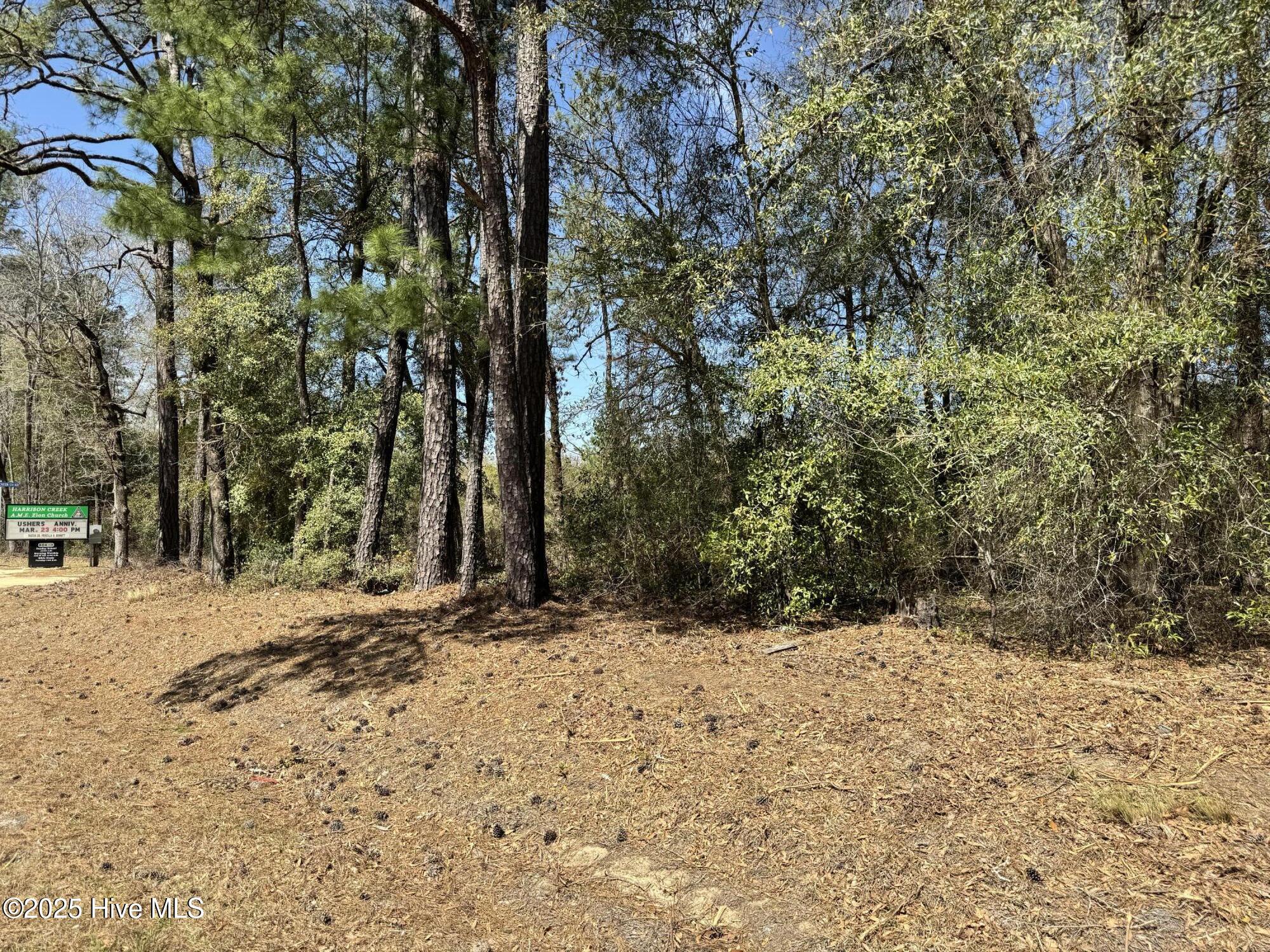 Tr 1/ Tr 2 Nc Highway 53 W Property Photo 8