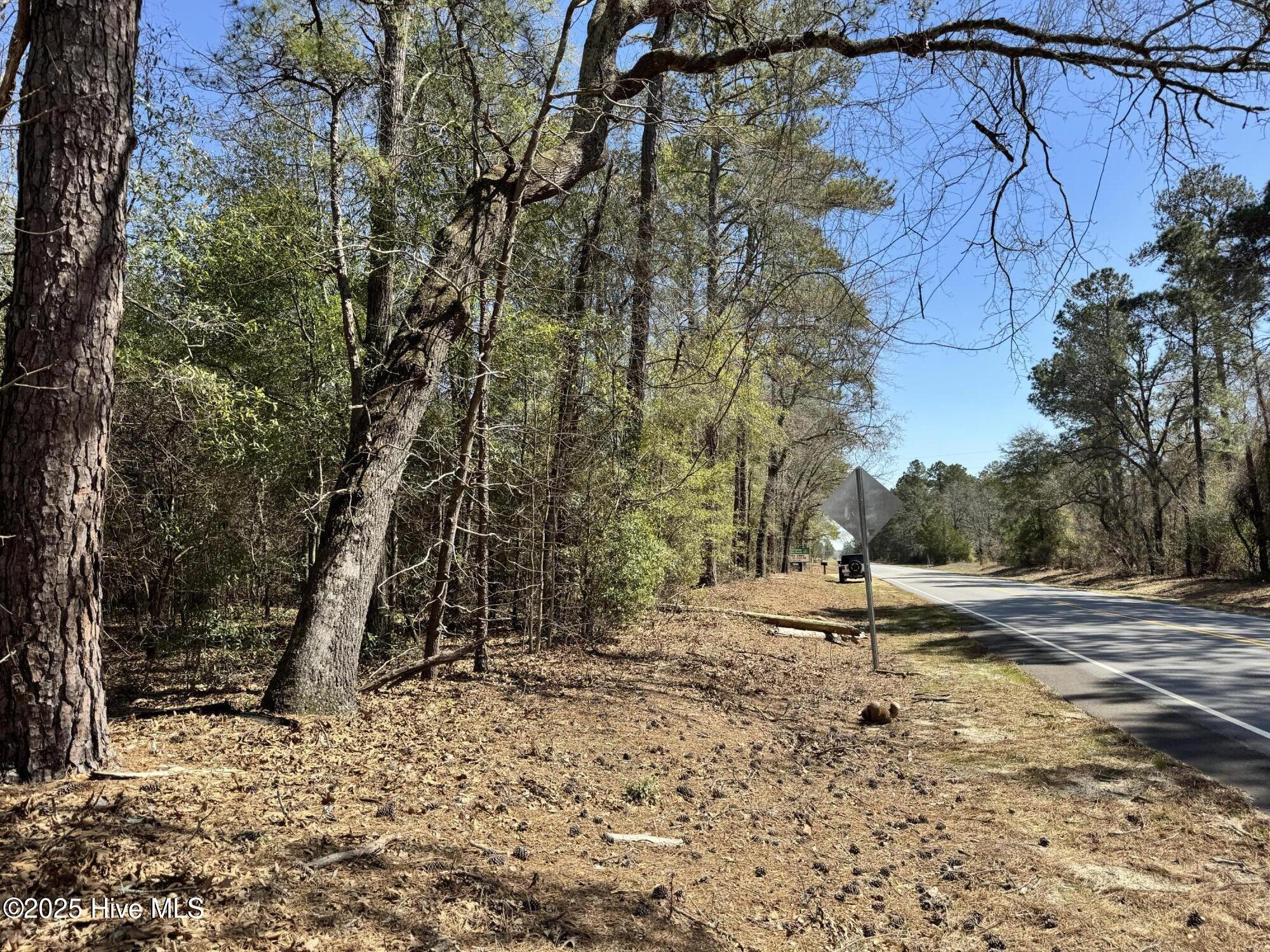 Tr 1/ Tr 2 Nc Highway 53 W Property Photo 10
