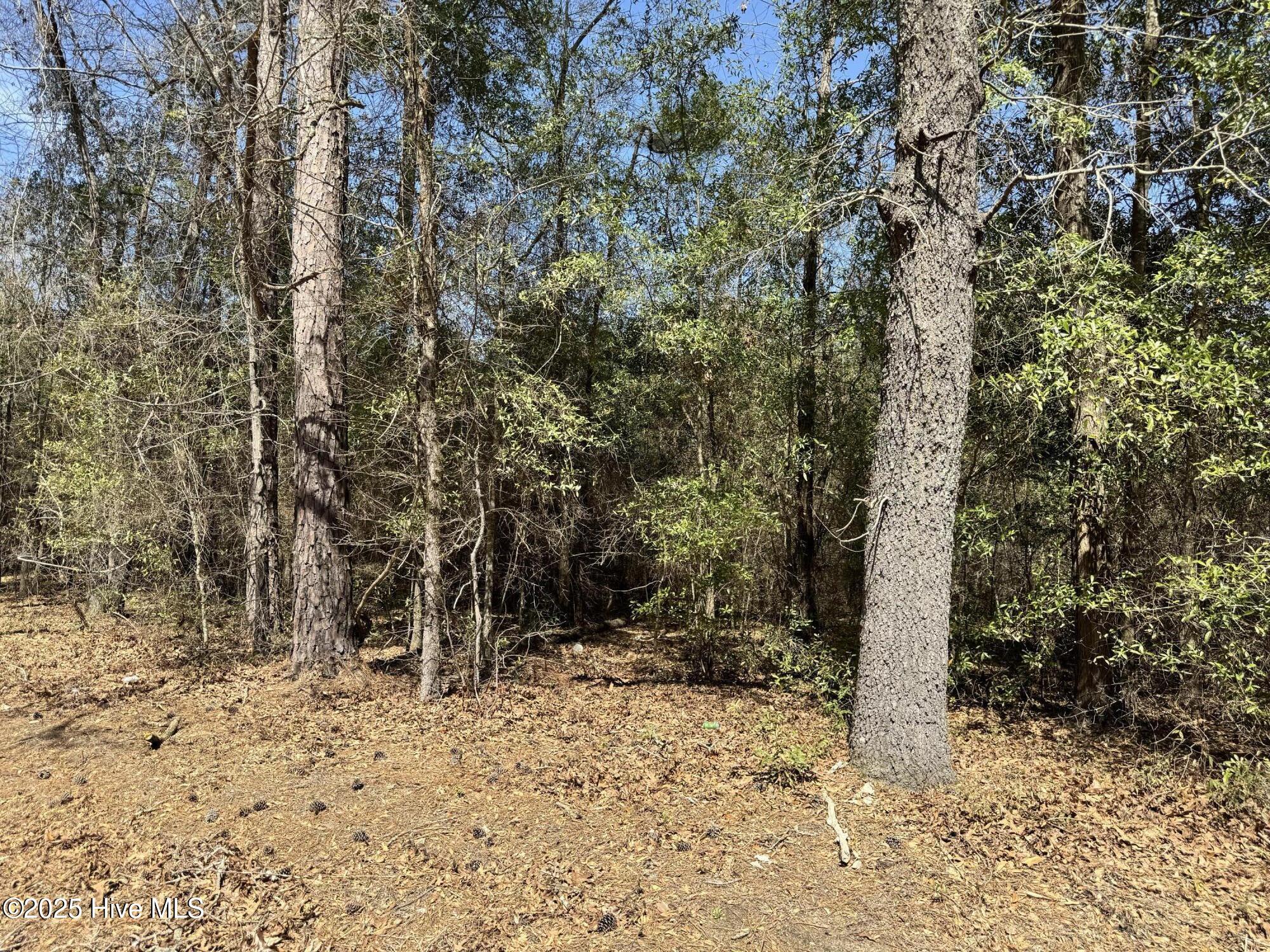 Tr 1/ Tr 2 Nc Highway 53 W Property Photo 12